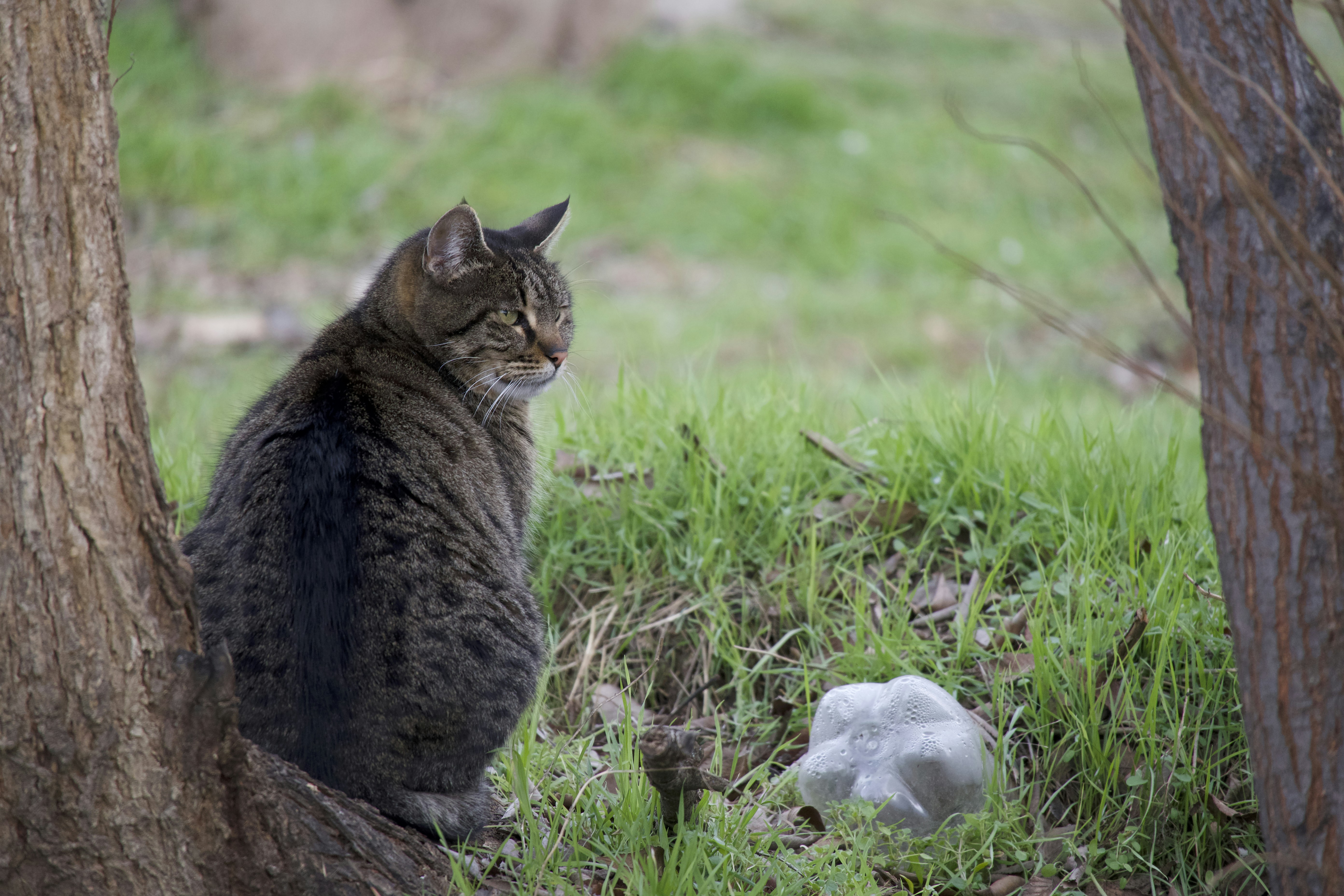 Photo by aminzabardast