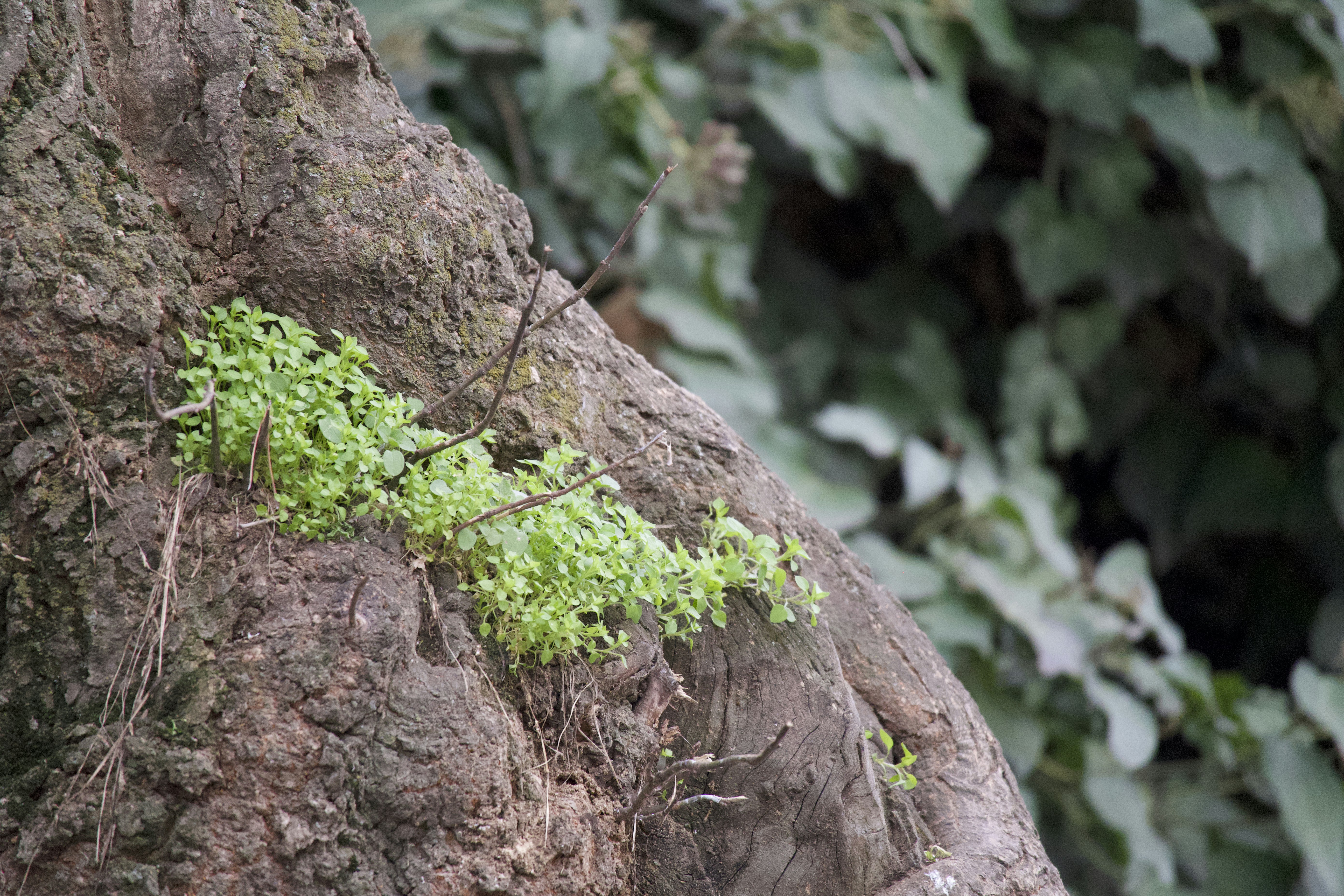 Photo by aminzabardast