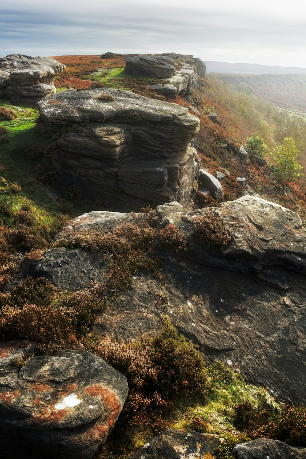 a rocky cliff with moss growing on it