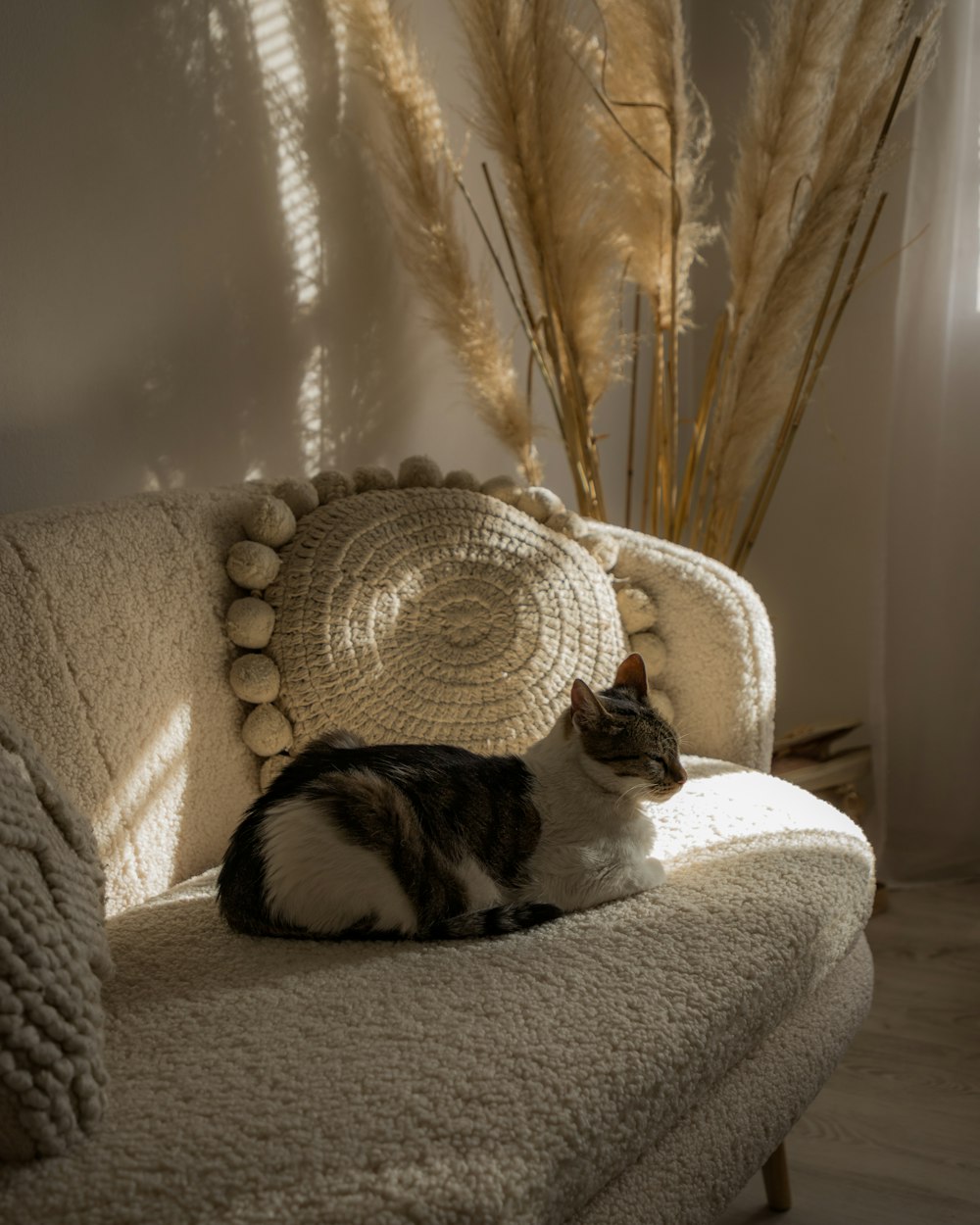 a cat sitting on a chair in a room