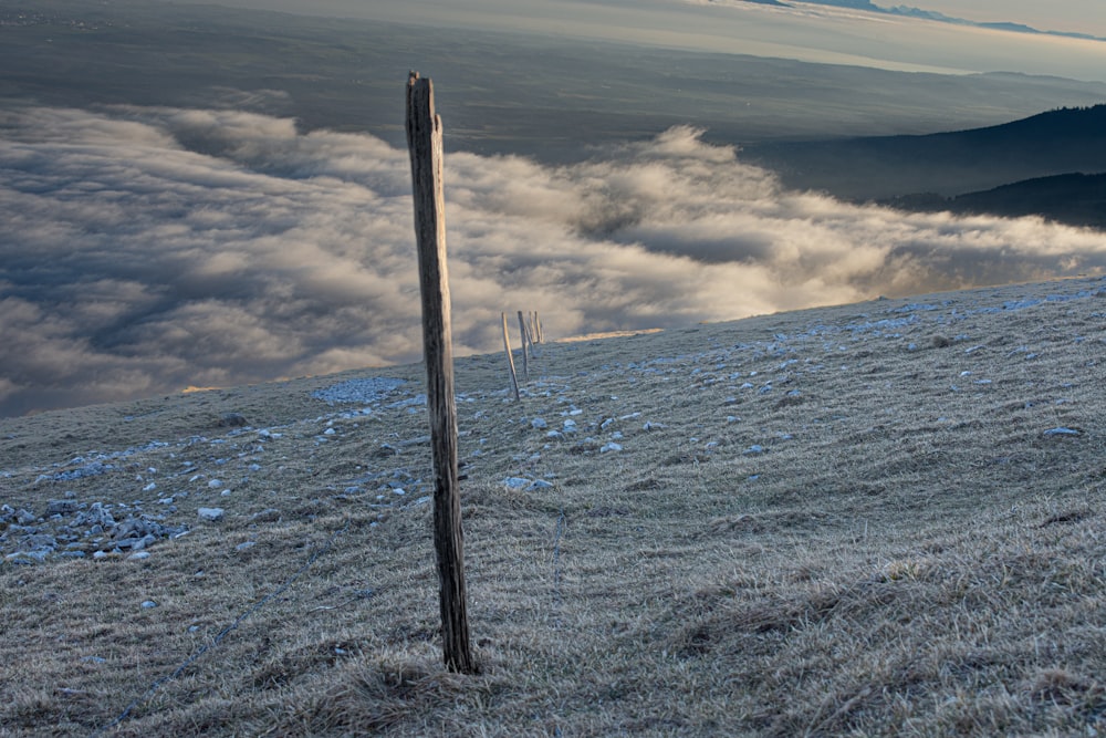 um poste de madeira saindo do lado de uma colina