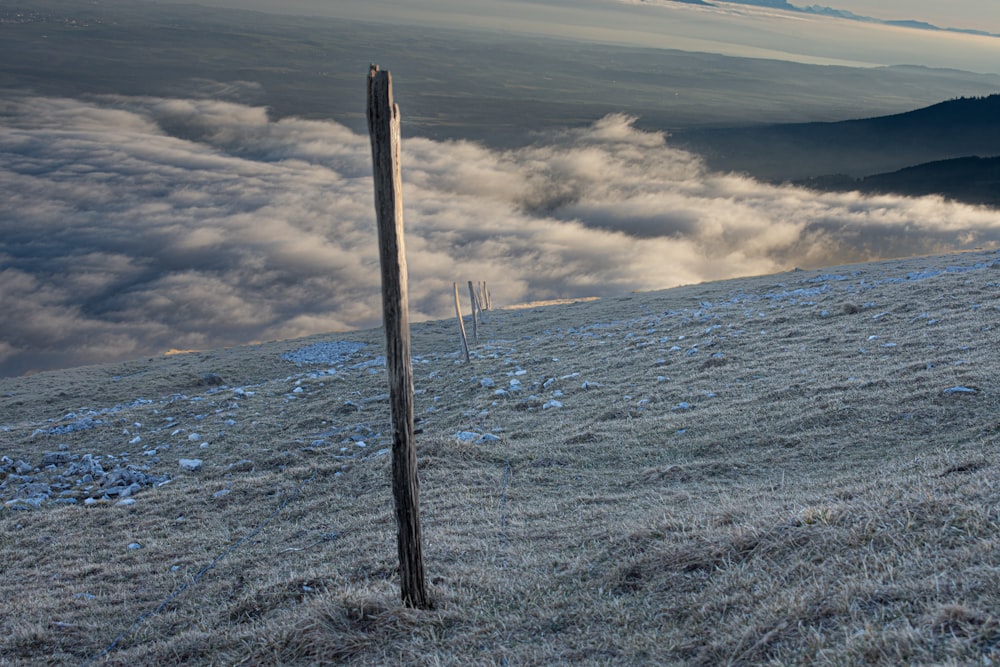 a wooden pole sticking out of the side of a hill