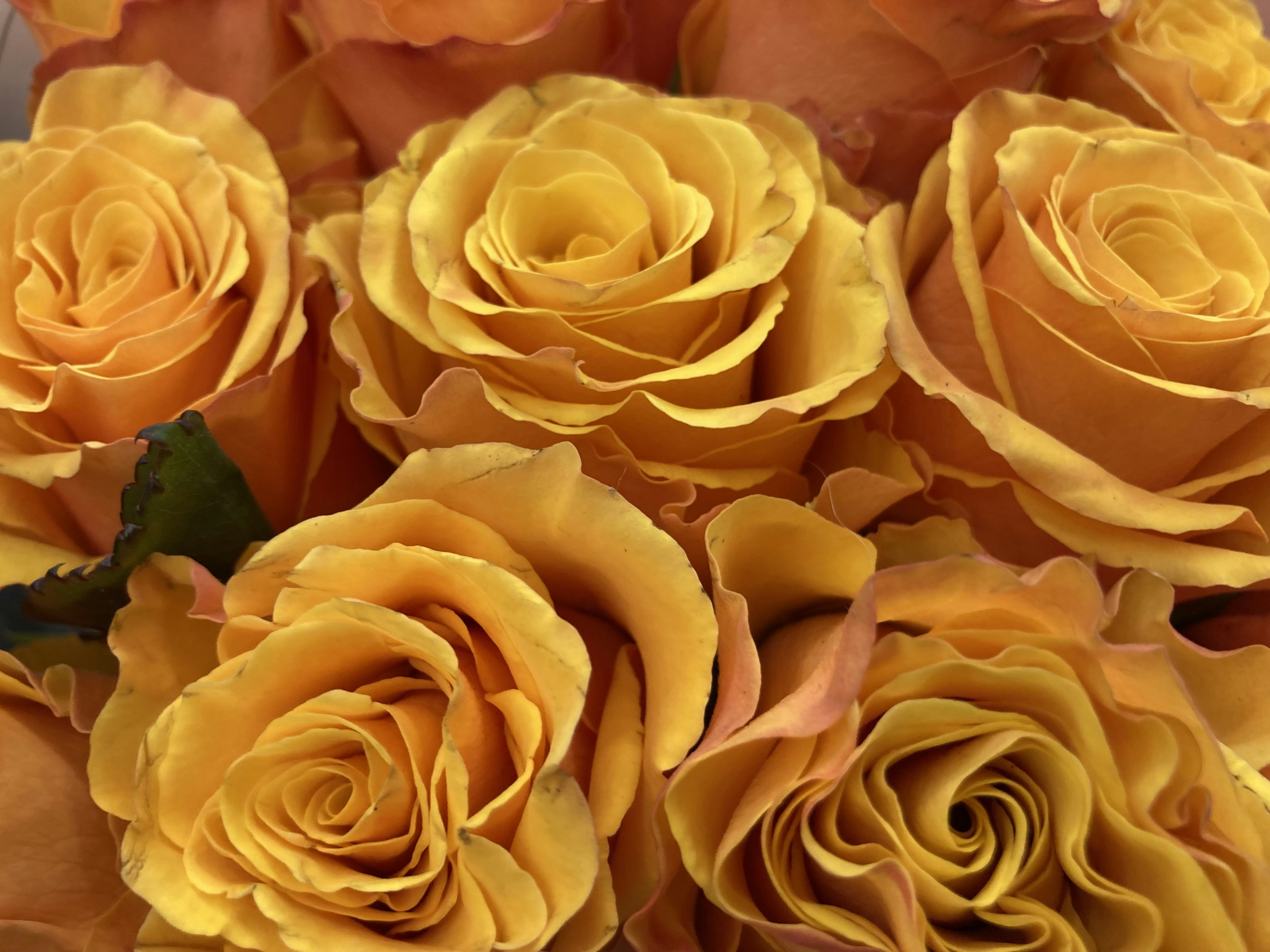 Photo by davidvcraig