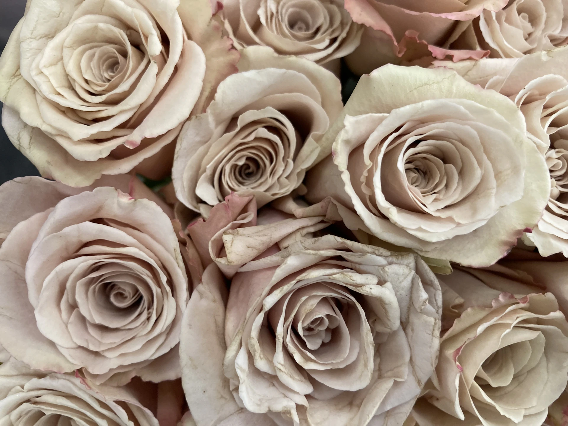 a close up of a bouquet of flowers