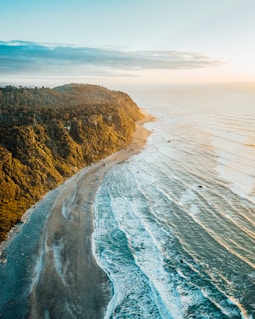 an aerial view of a beach and a forested area