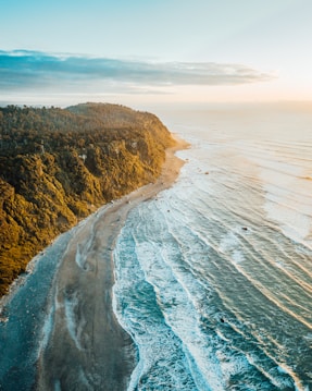 an aerial view of a beach and a forested area
