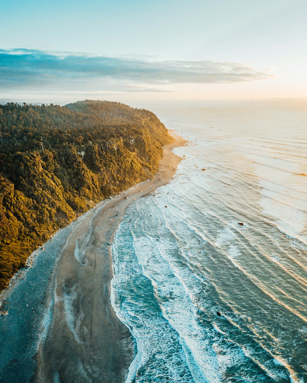 an aerial view of a beach and a forested area