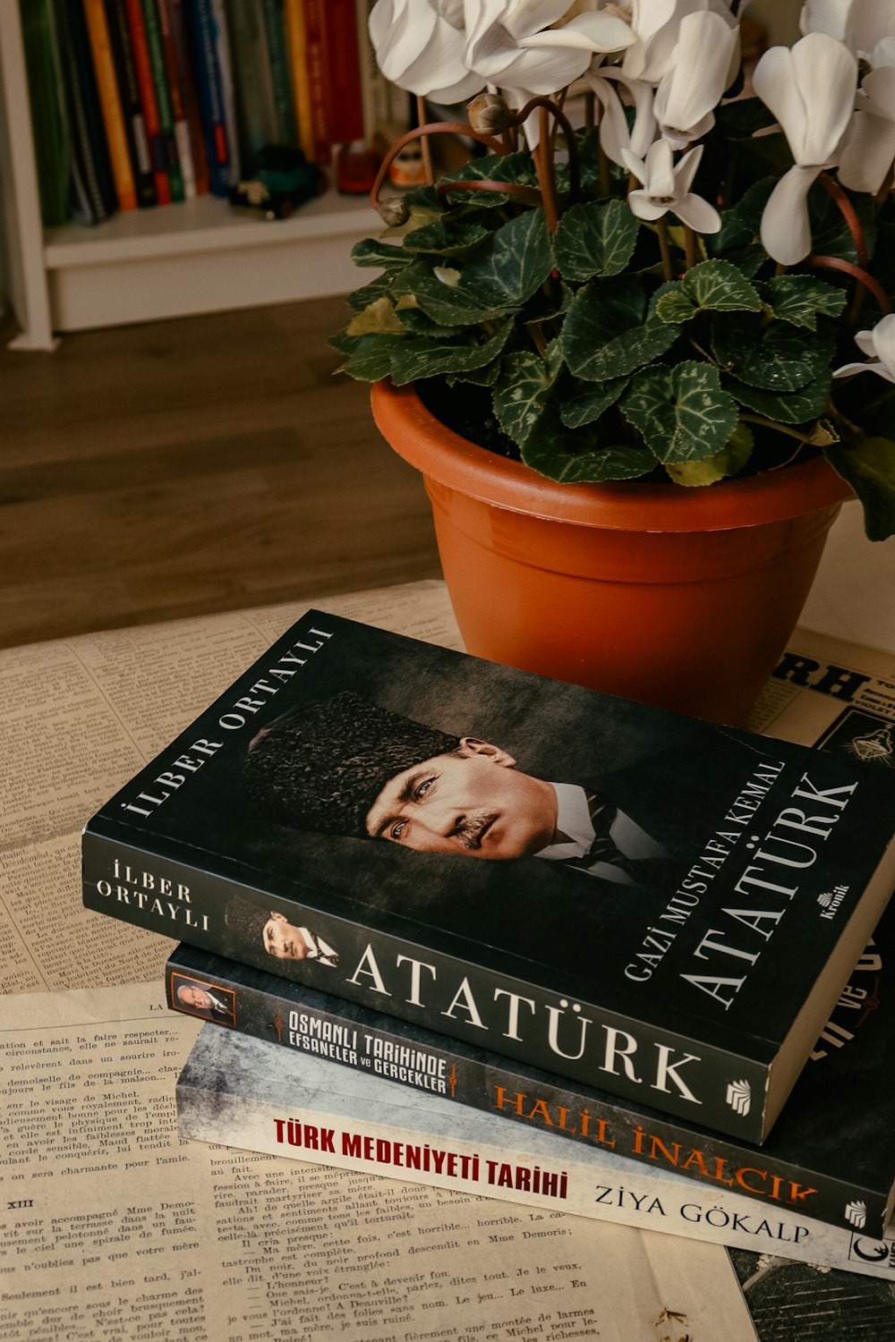 a stack of books sitting on top of a table next to a potted plant