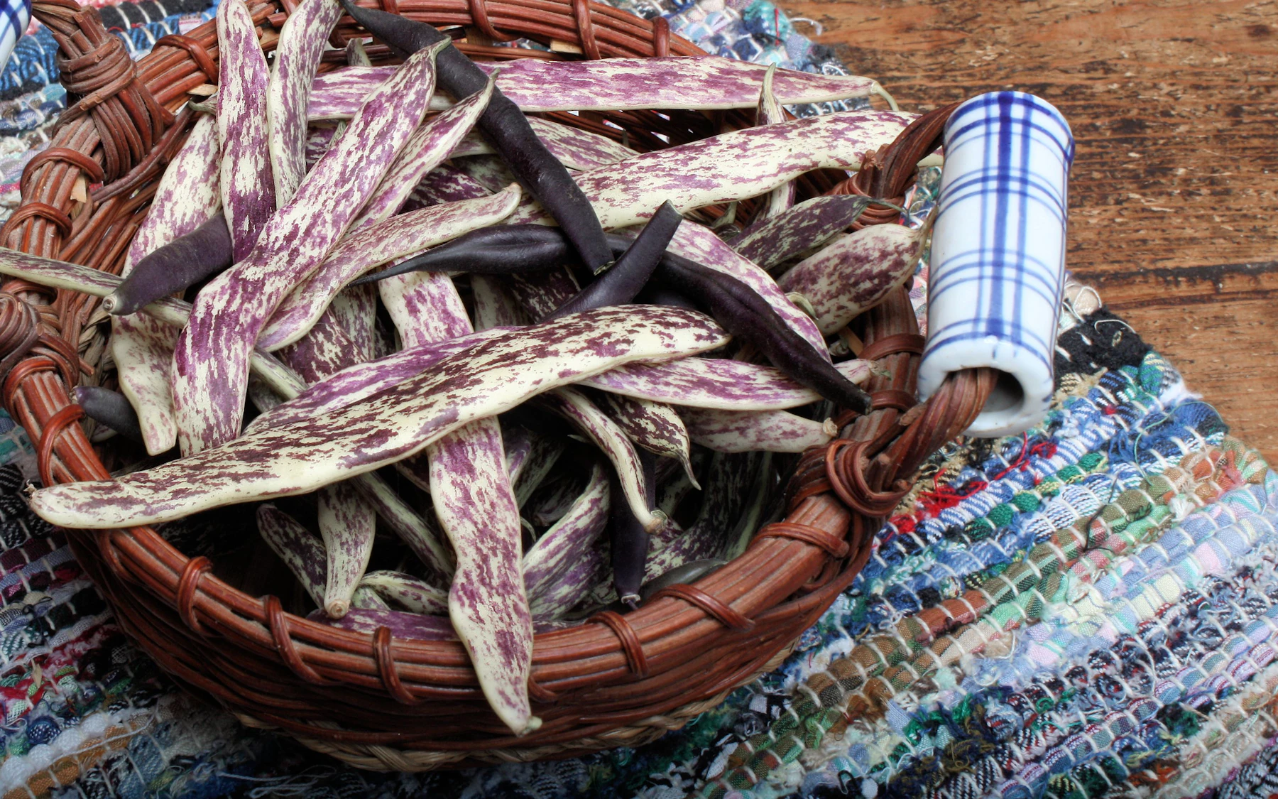A wicker basket full of purple-speckled bean pods on a woven rag rug