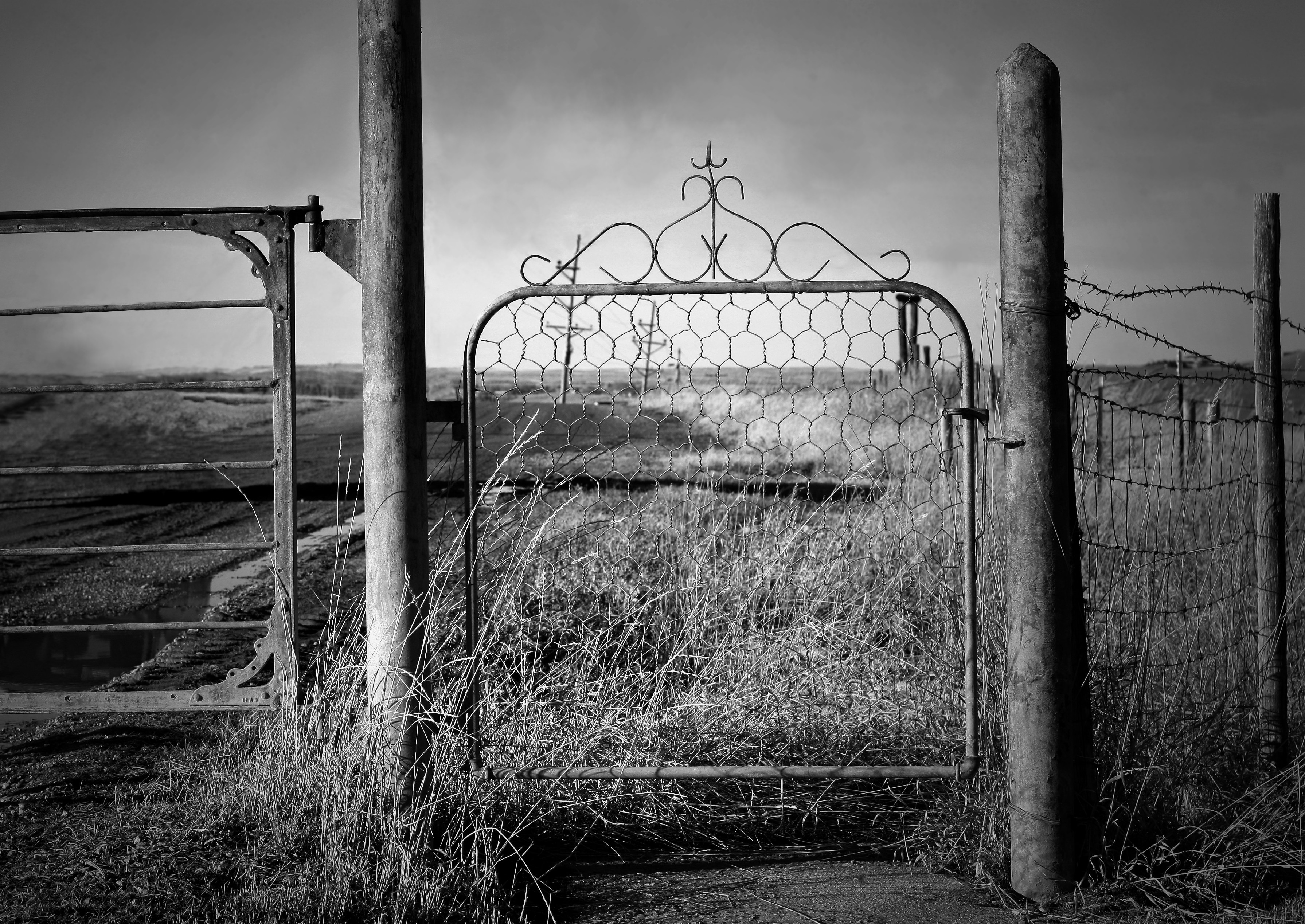 Photo by onesmallsquare