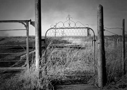 a black and white photo of a gate in a field