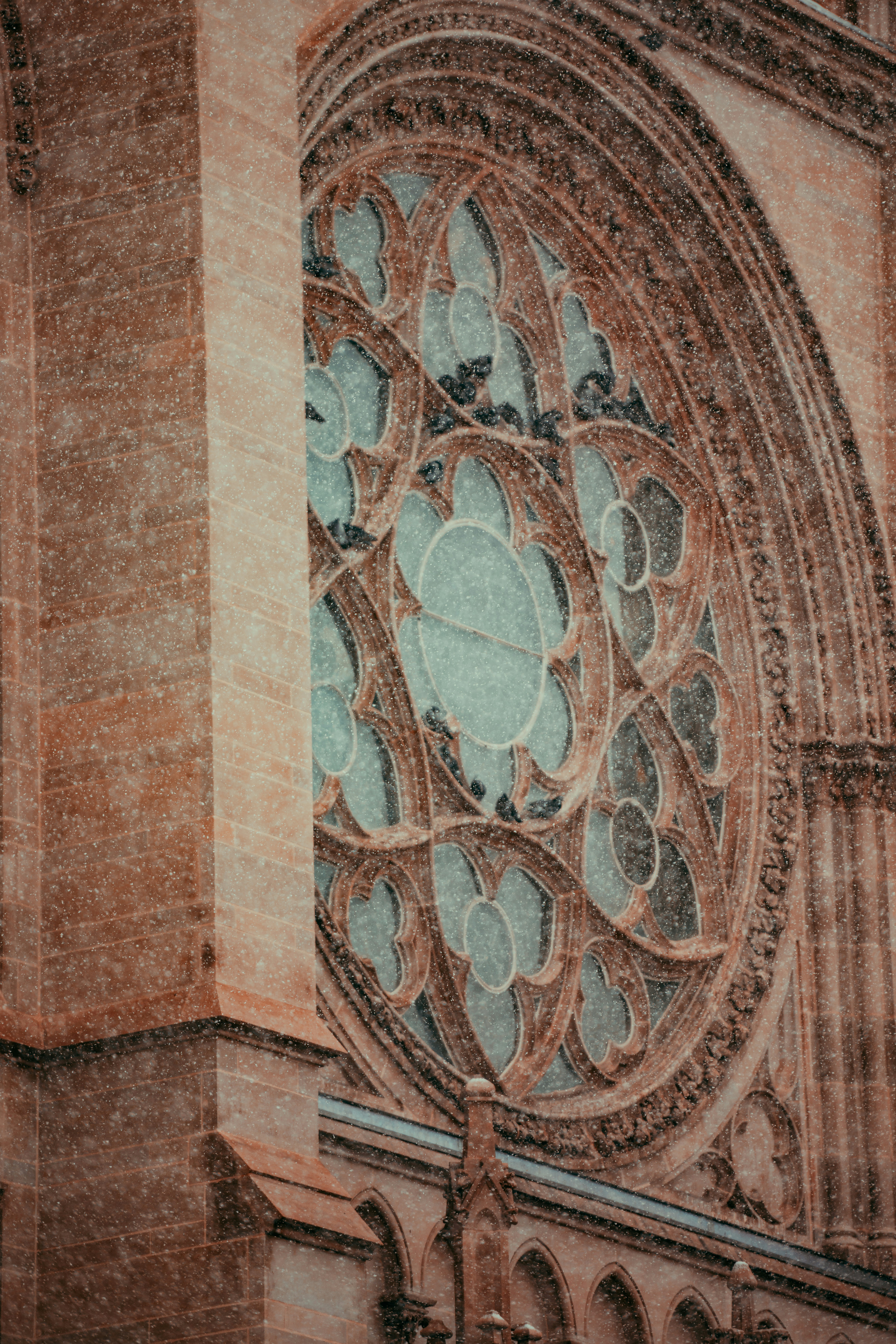 Photo by onthesearchforpineapples