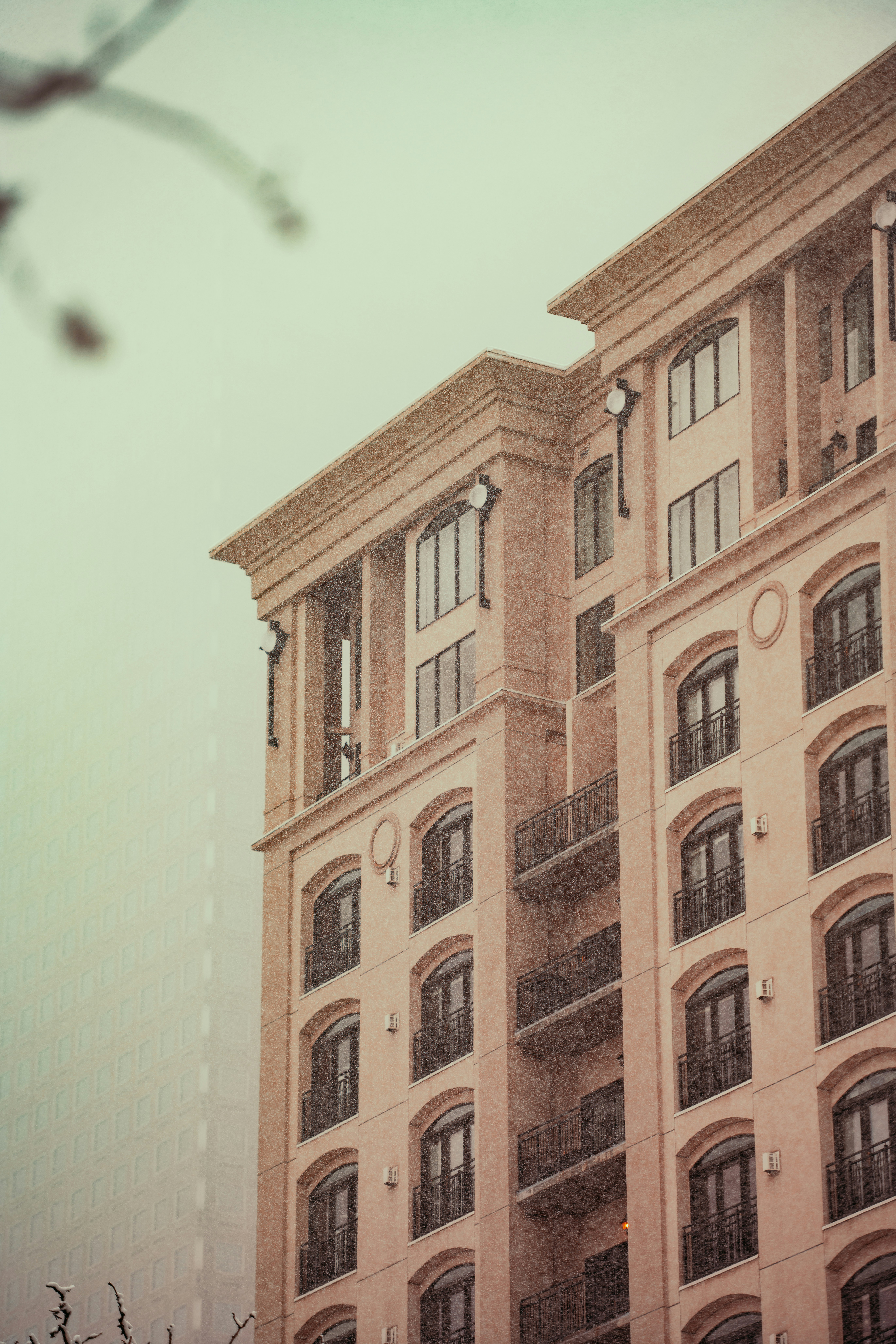 Photo by onthesearchforpineapples