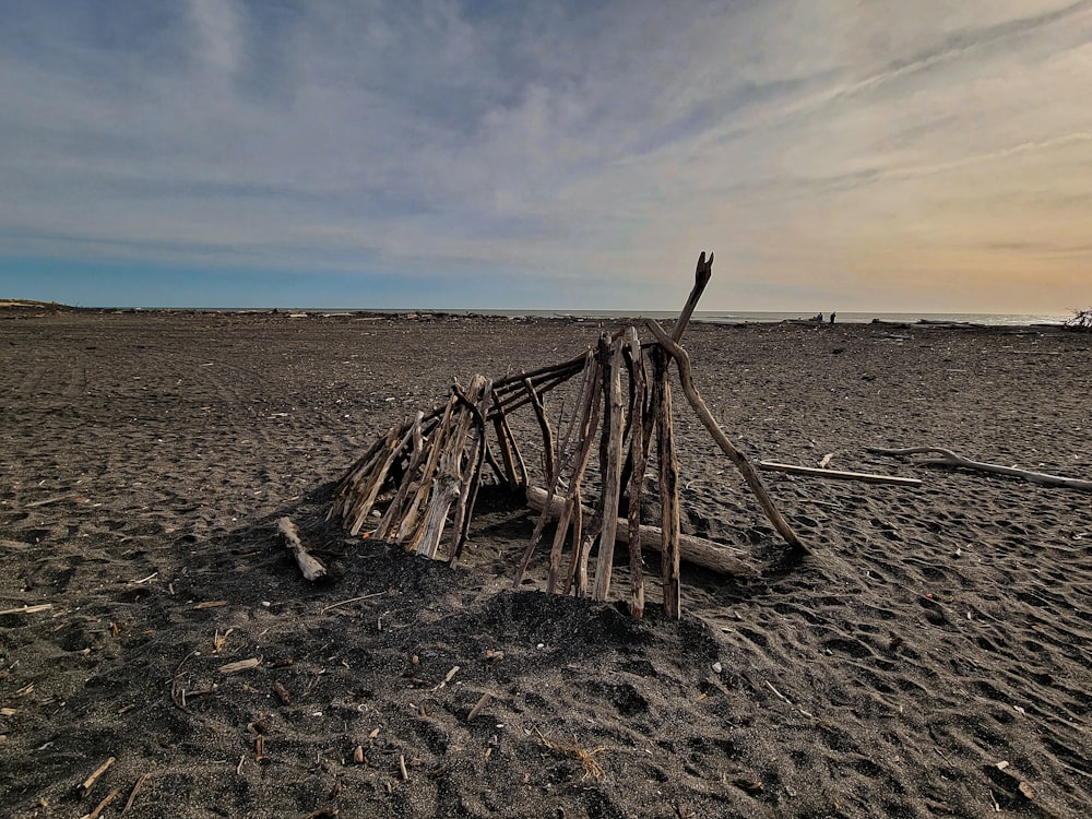 un mucchio di bastoncini seduti in cima a una spiaggia sabbiosa