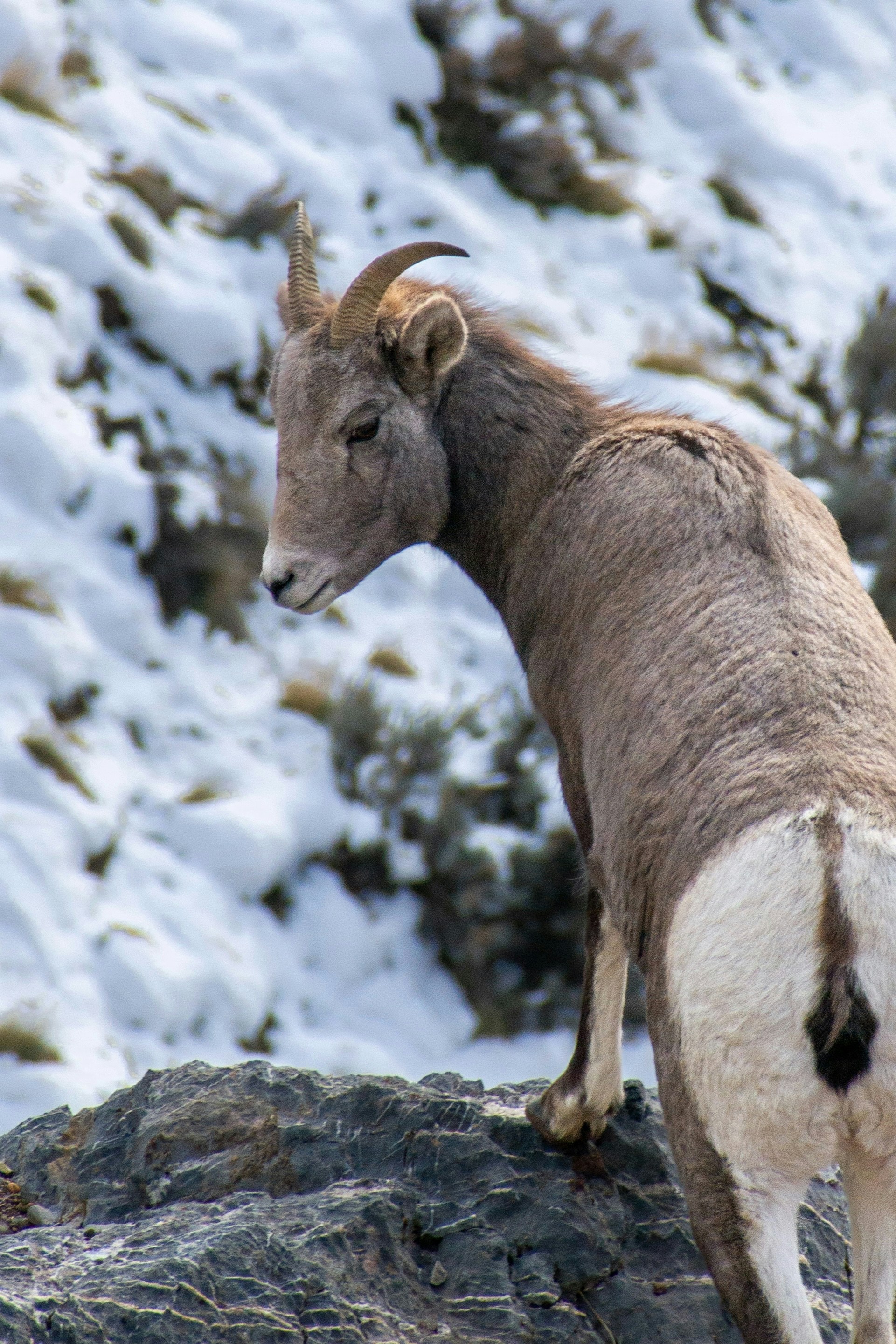 Photo by judd_nichols