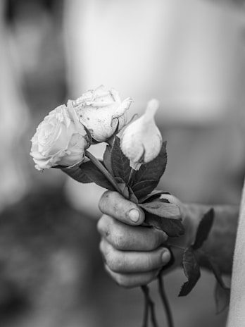 a black and white photo of a person holding a rose