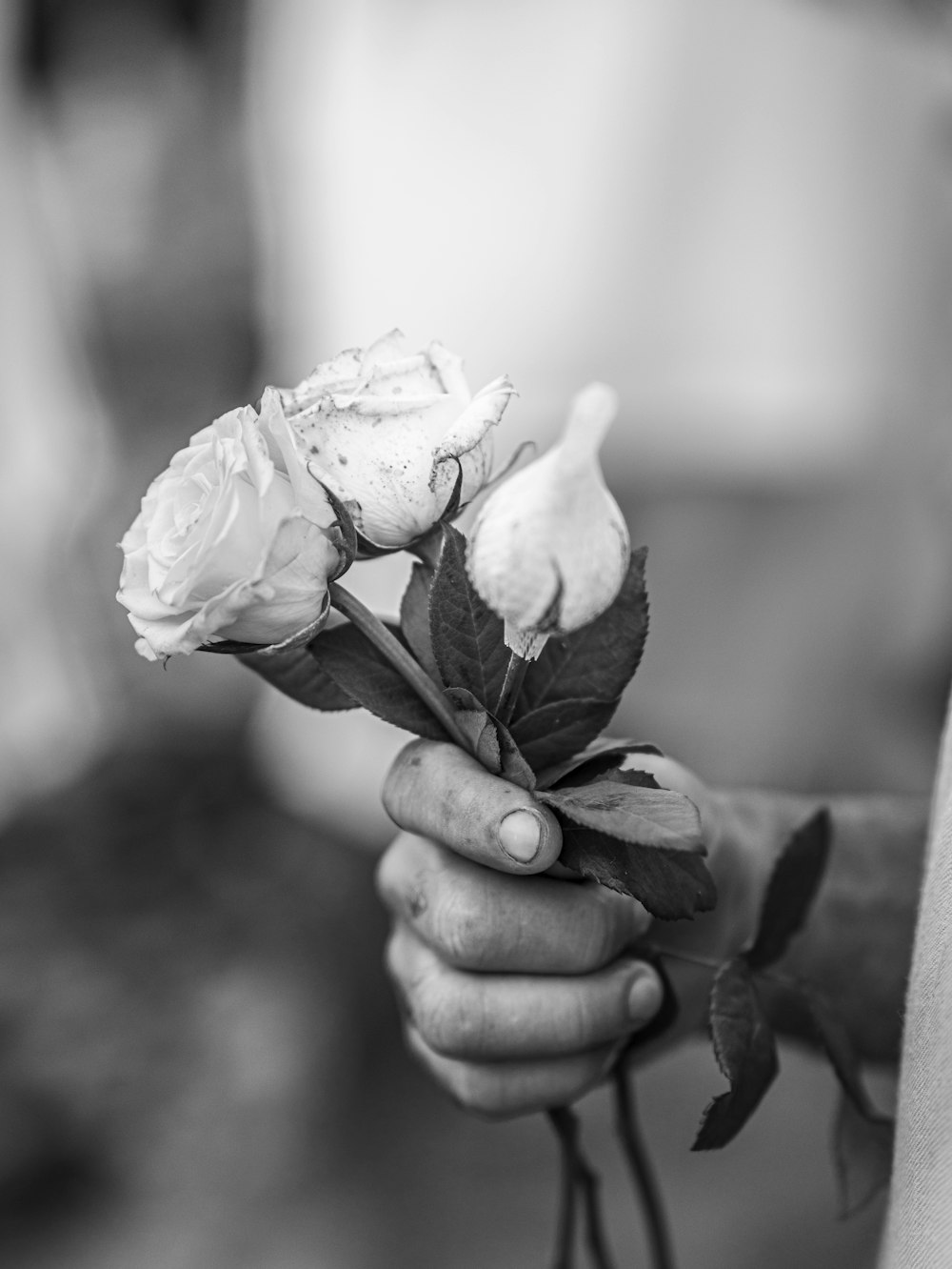 a black and white photo of a person holding a rose