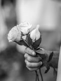 a black and white photo of a person holding a rose