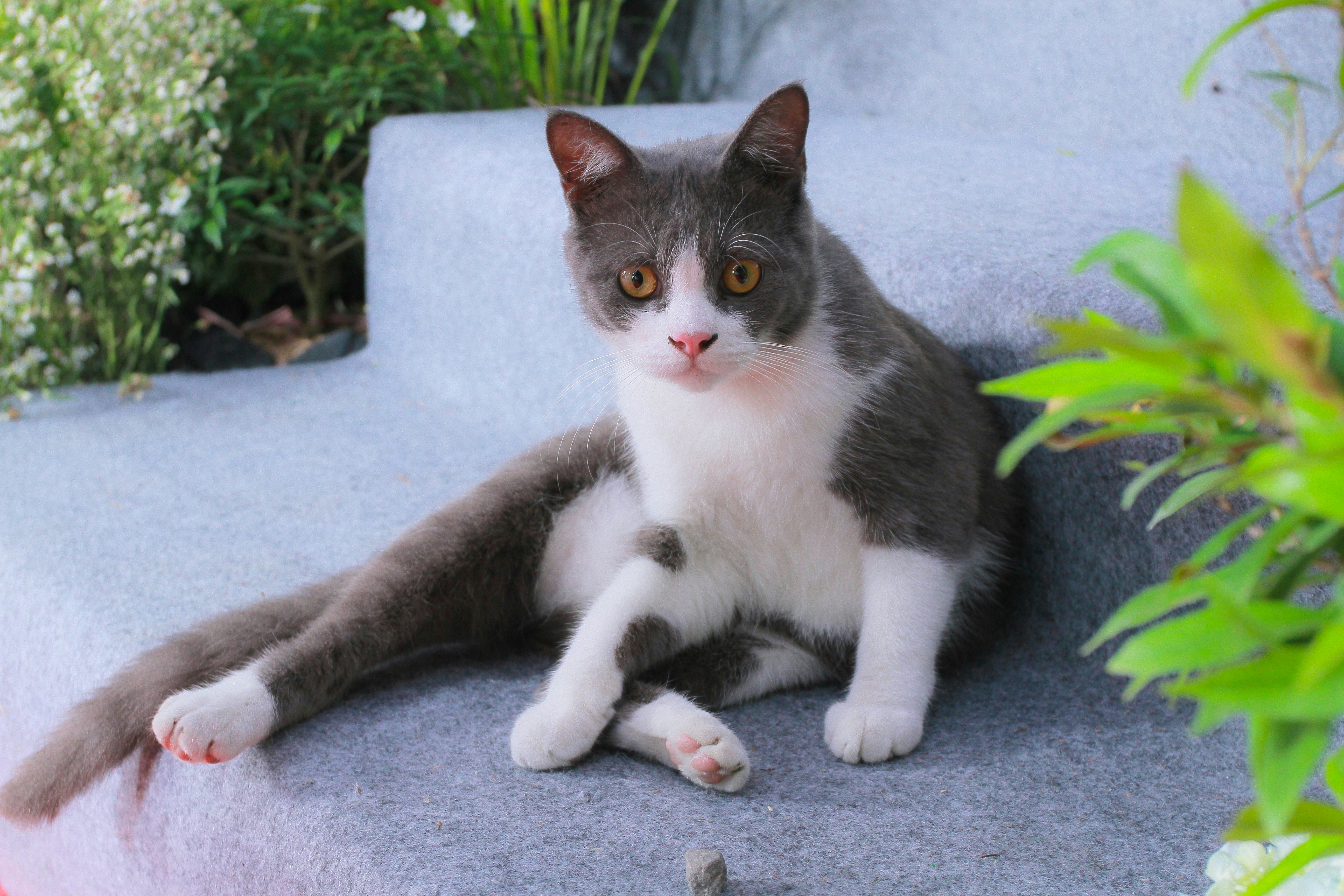 Exploring Enrichment Beyond the Home (image credits: unsplash)