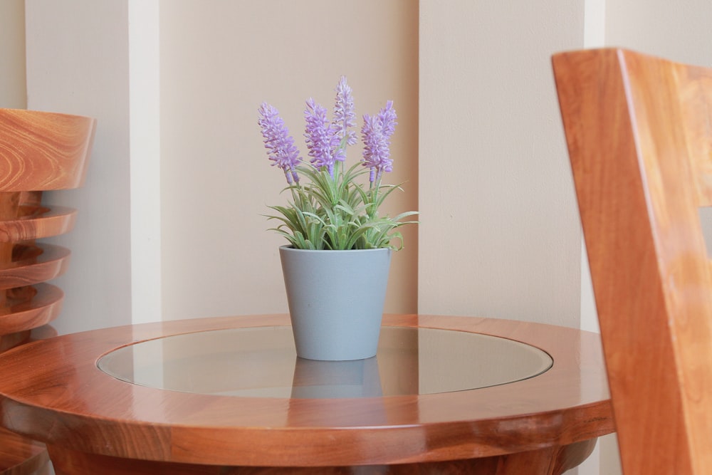 una pequeña planta en maceta sentada encima de una mesa de madera
