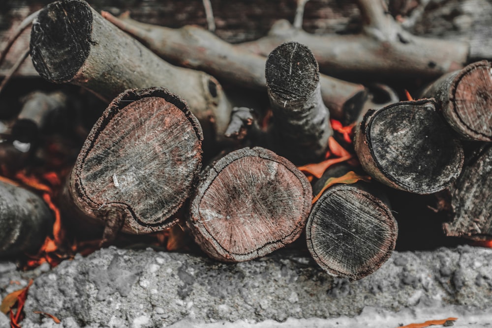 a pile of wood sitting on top of a pile of leaves