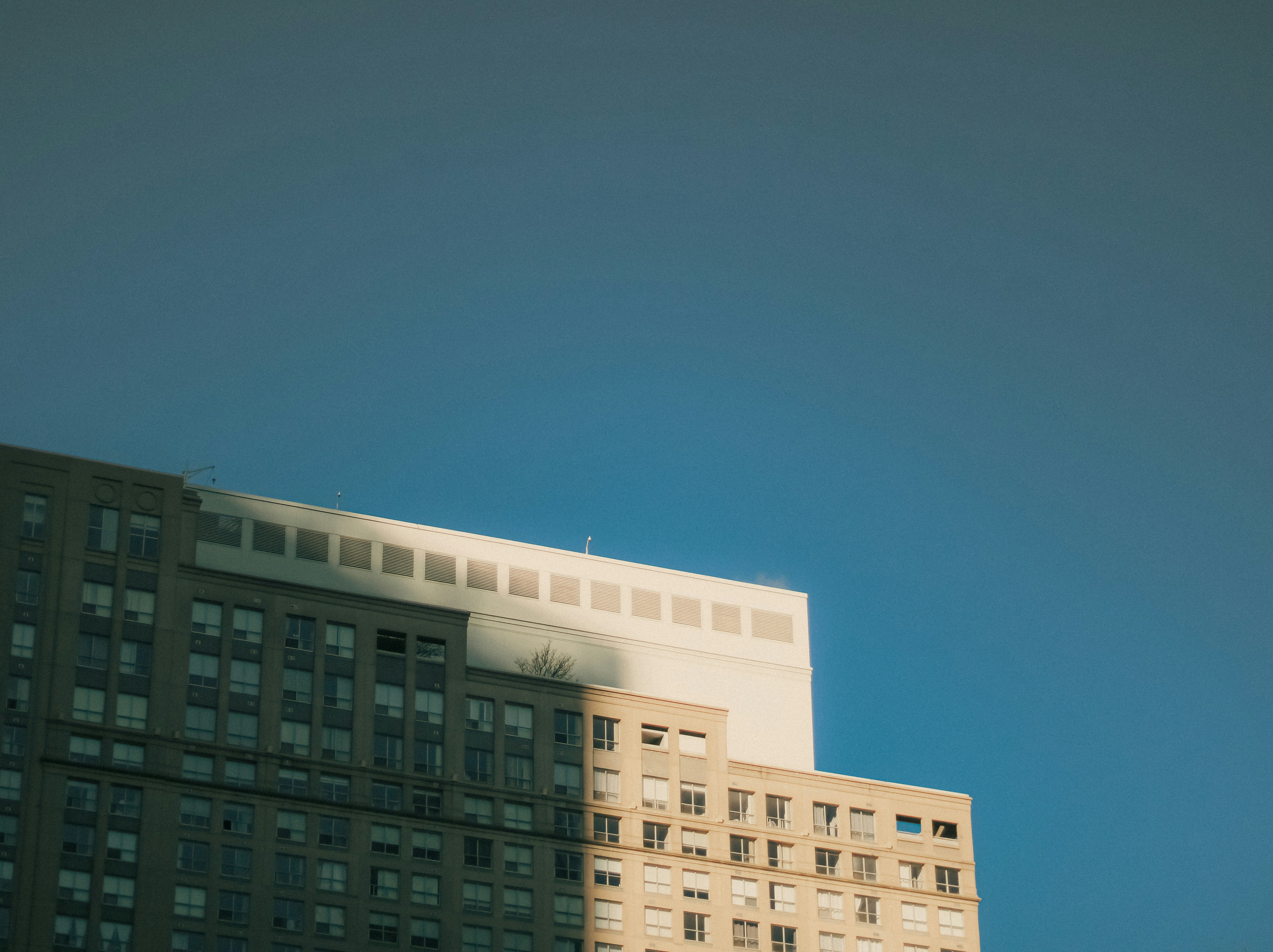 Photo by linusbelanger