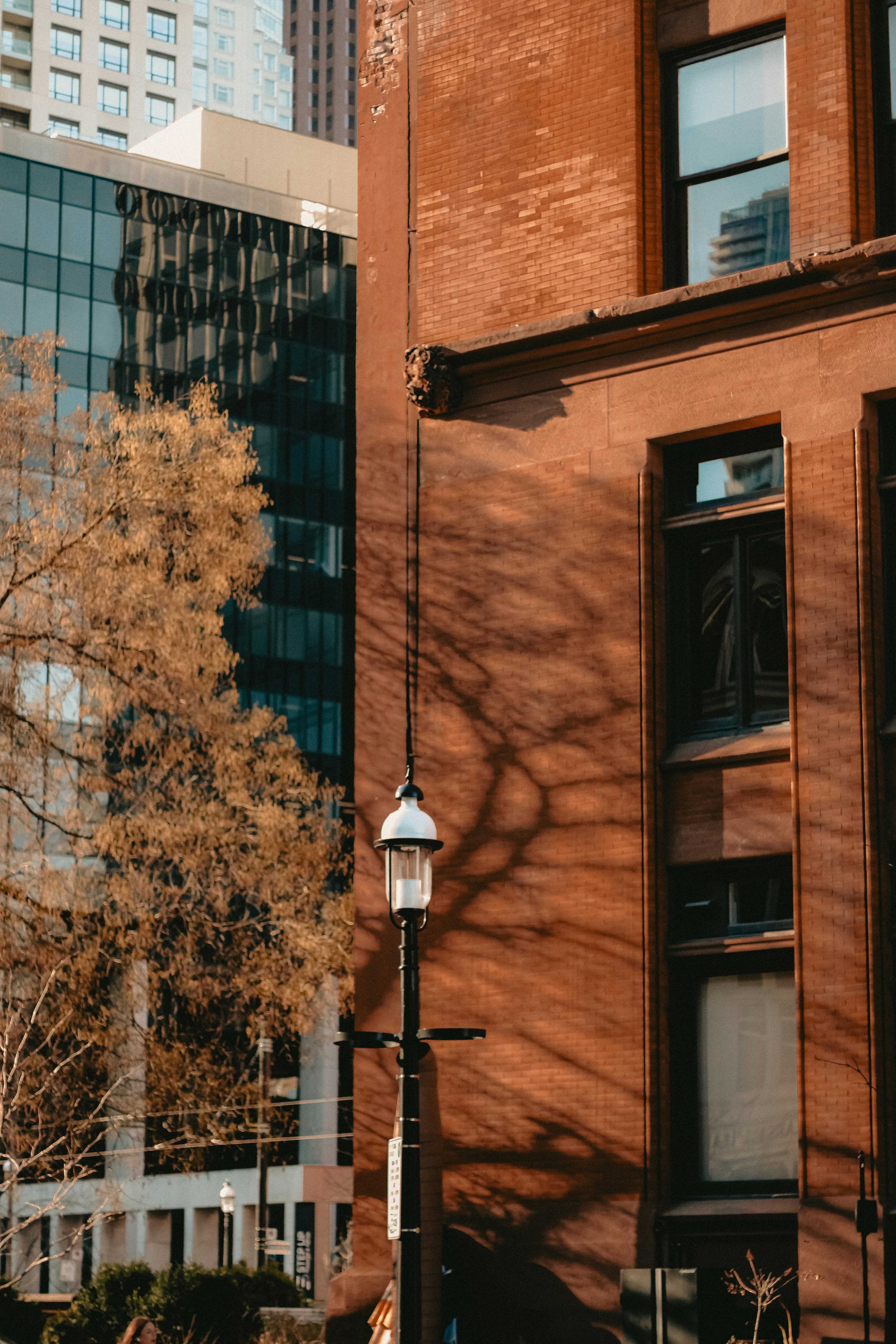 Photo by linusbelanger