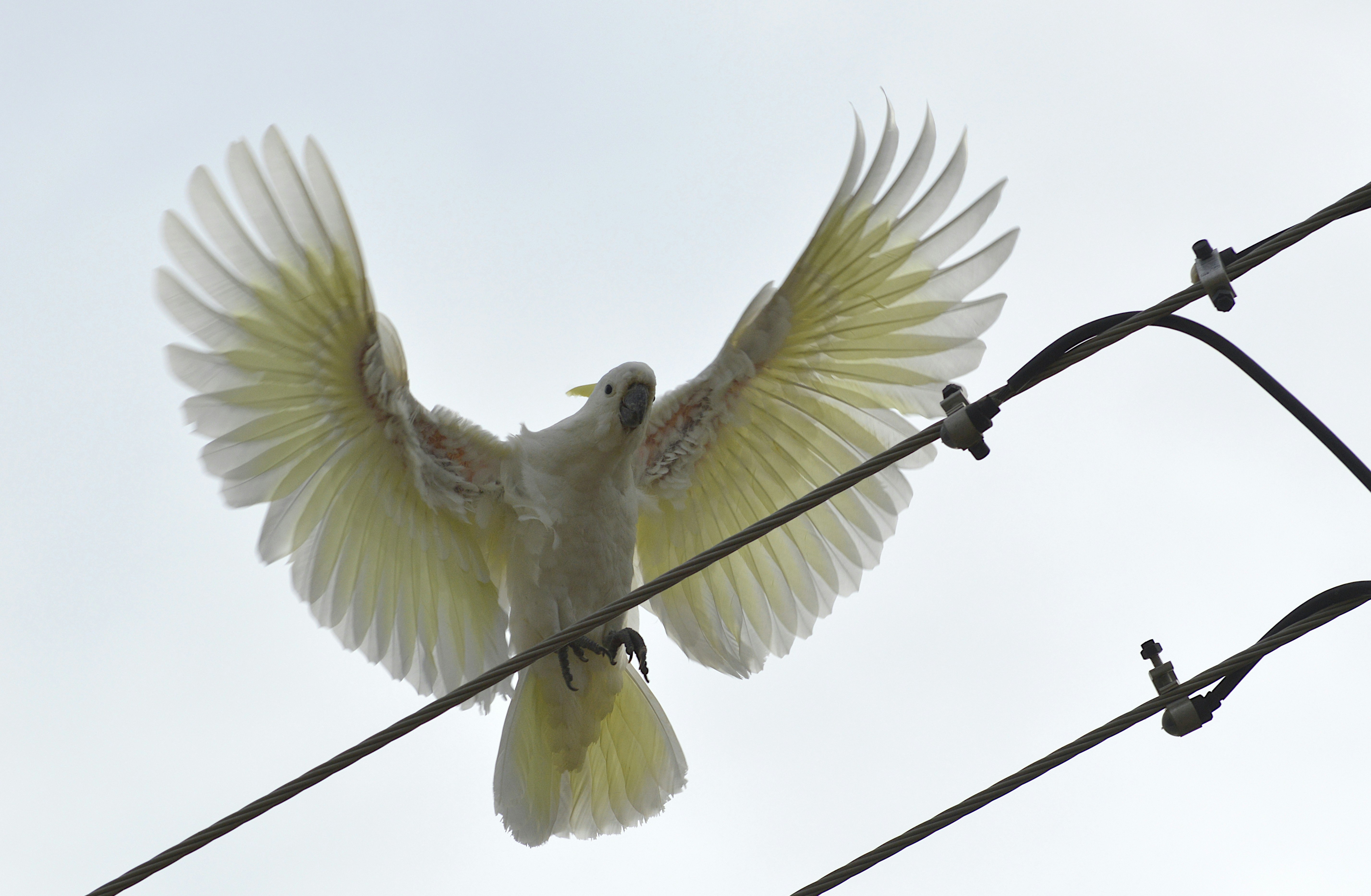 Photo by lakelandimages