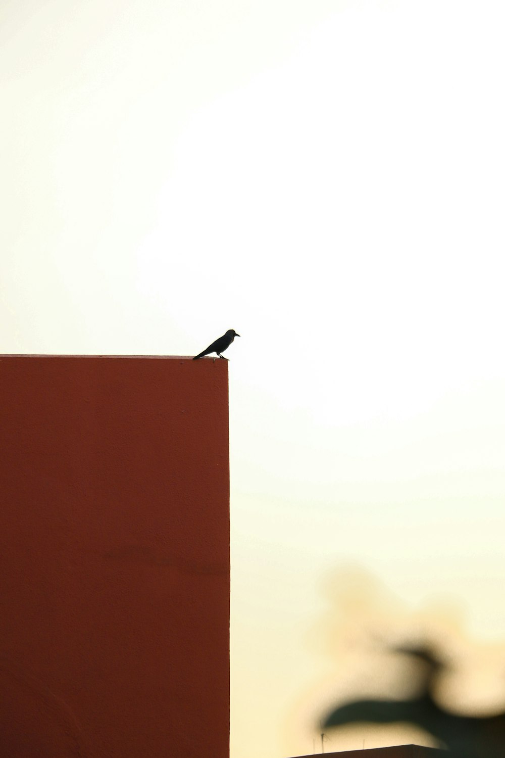 un petit oiseau assis sur le dessus d’une boîte rouge