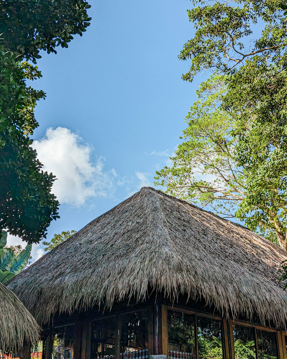 a hut with a thatched roof in a tropical setting