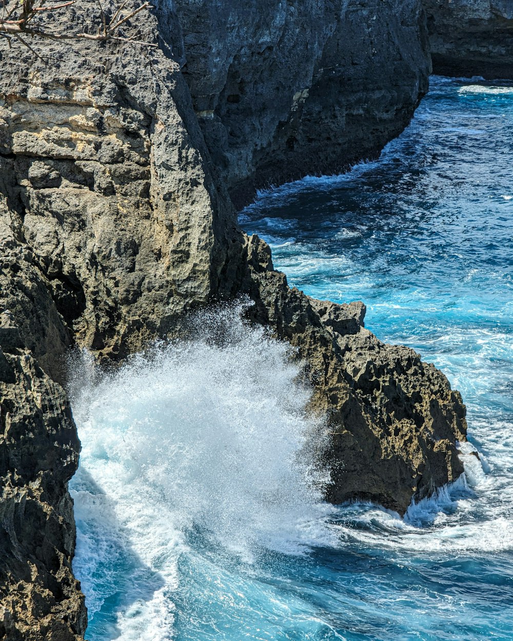 a bird sitting on top of a rock next to the ocean