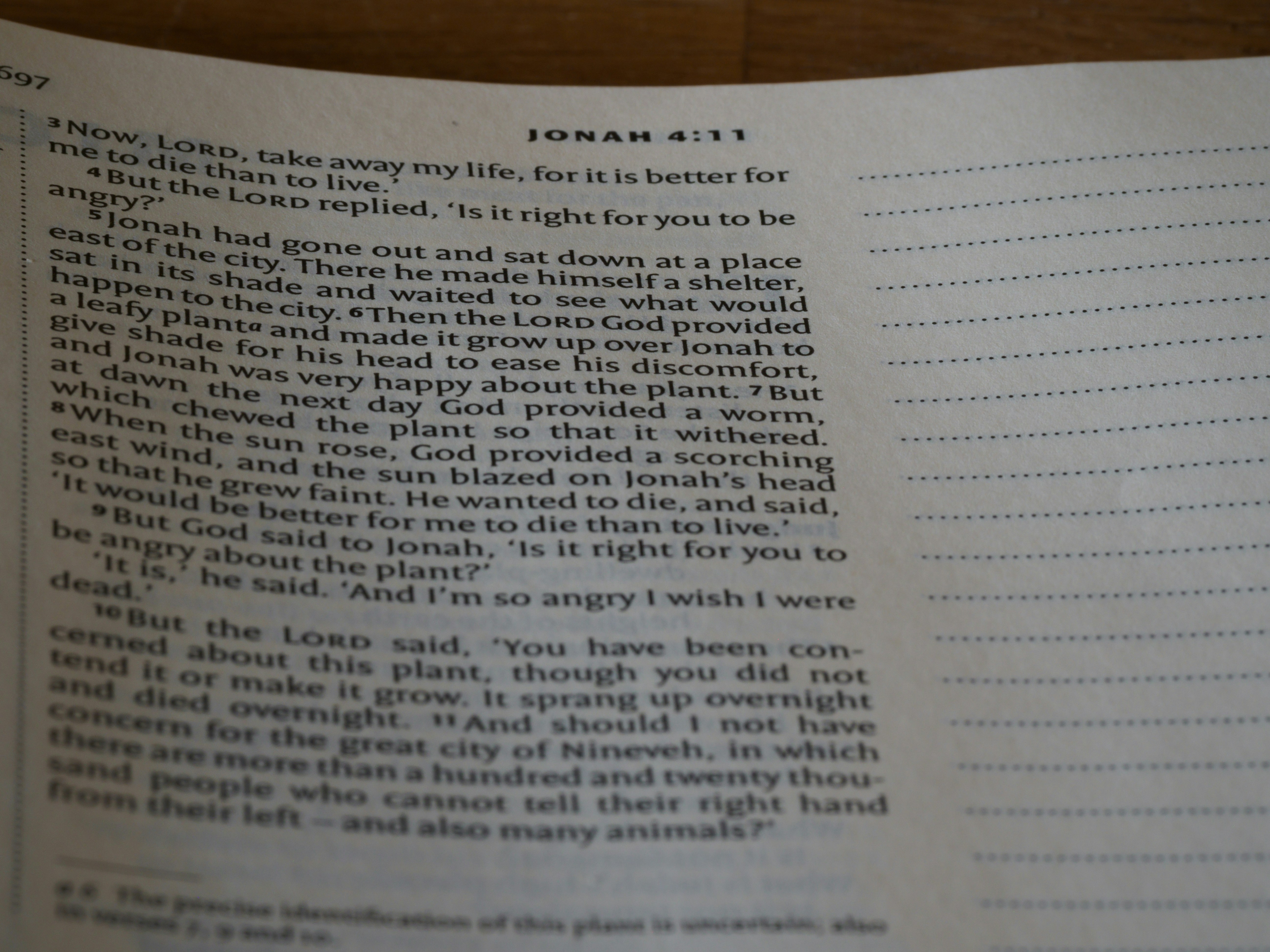 close up, bokeh, macro, blur, blurred background, close focus, bible, old testament, hebrew bible, christian, judaism, history, text, reading, bible study, devotions, New International Version, type, typography, canon, christianity, scripture, old testament, hebrew bible, jonah, jonas, judgment, judgement, nineveh, big fish,
