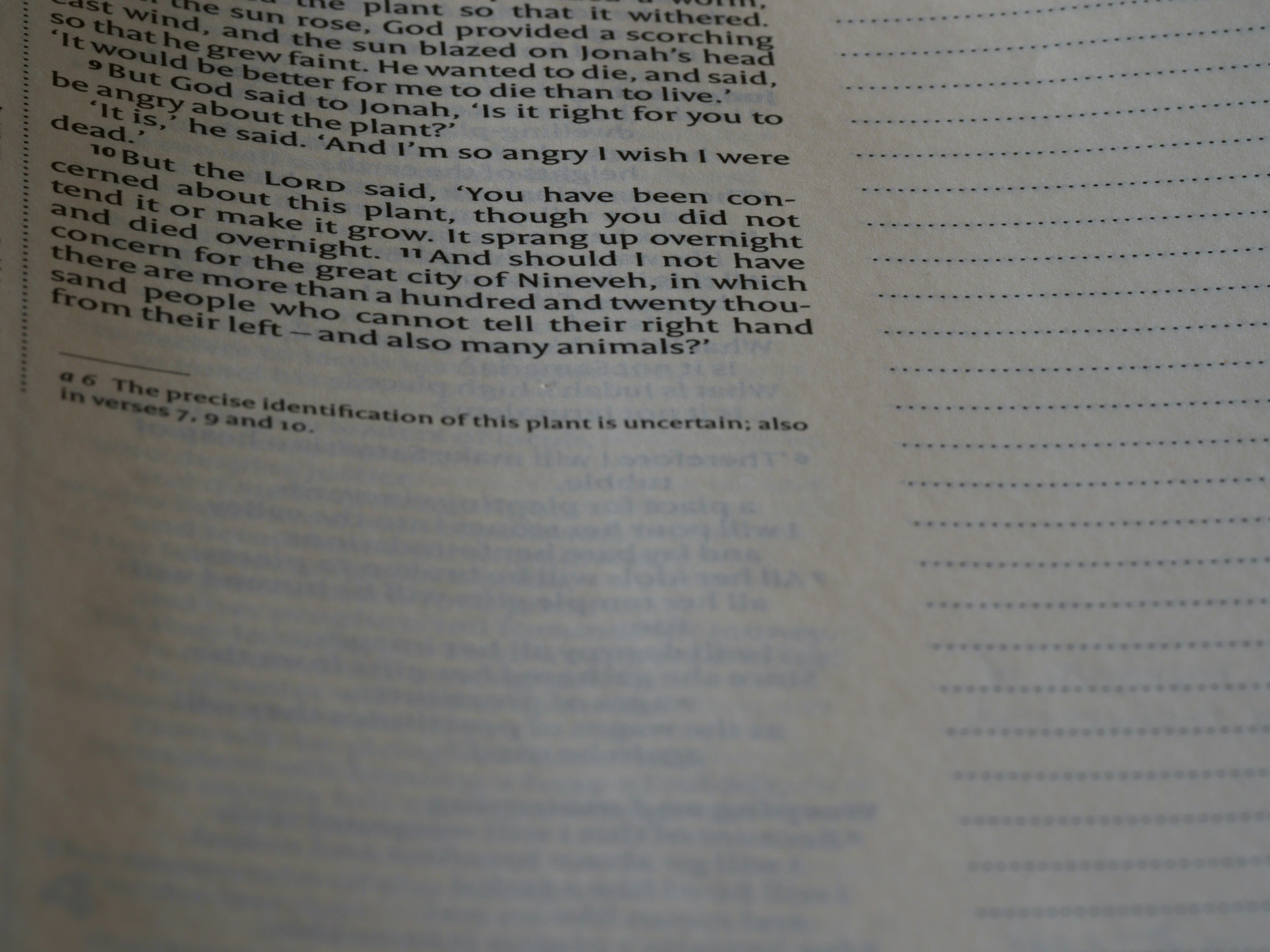 a close up of text in a book