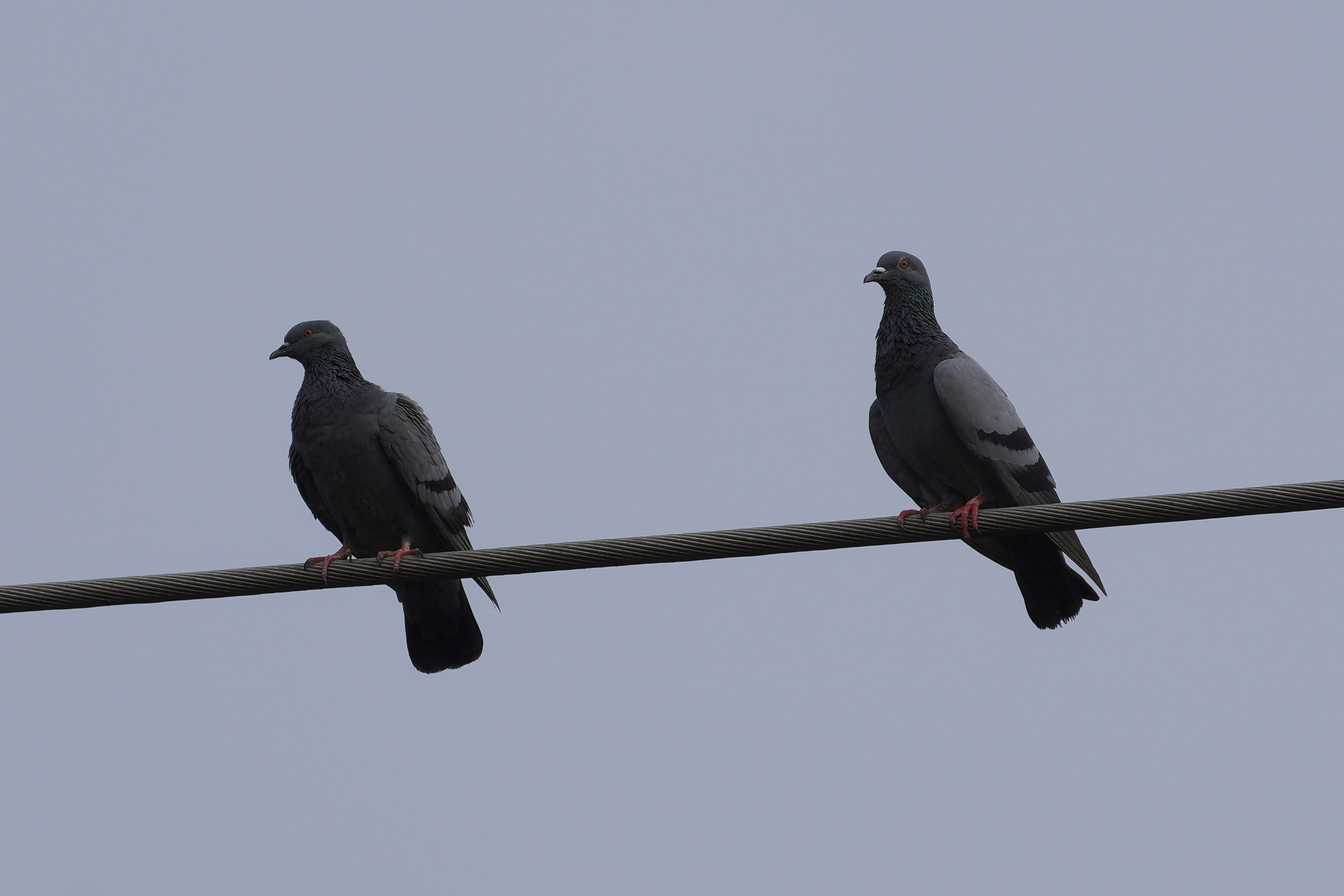 Photo by adeveloper79