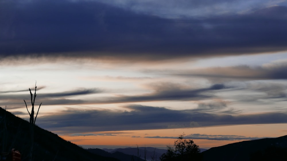 um pássaro voando no céu ao pôr do sol