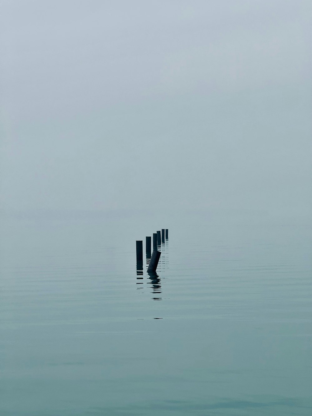 a couple of poles sticking out of the water