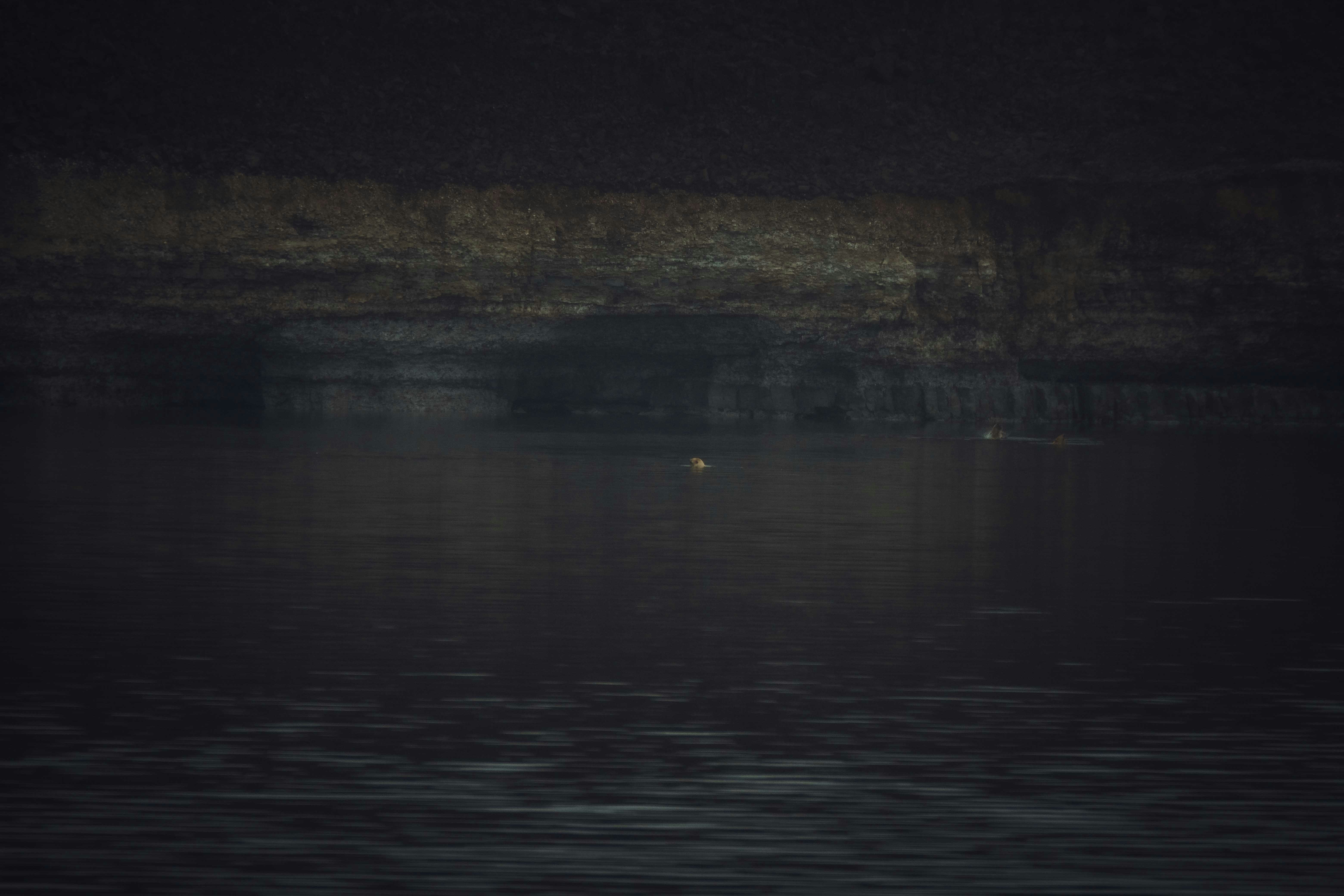 Photo by francesco_ungaro