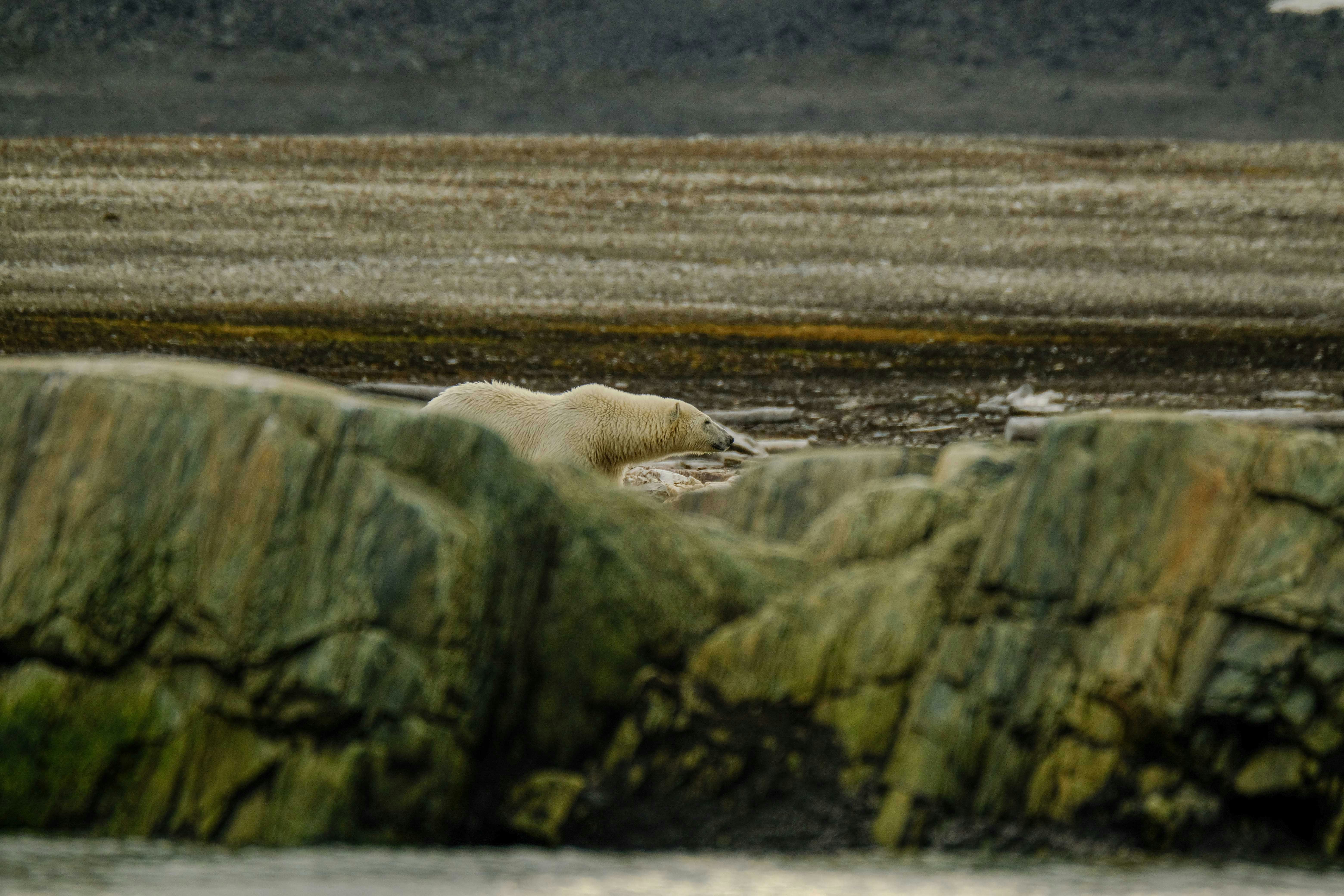 Photo by francesco_ungaro