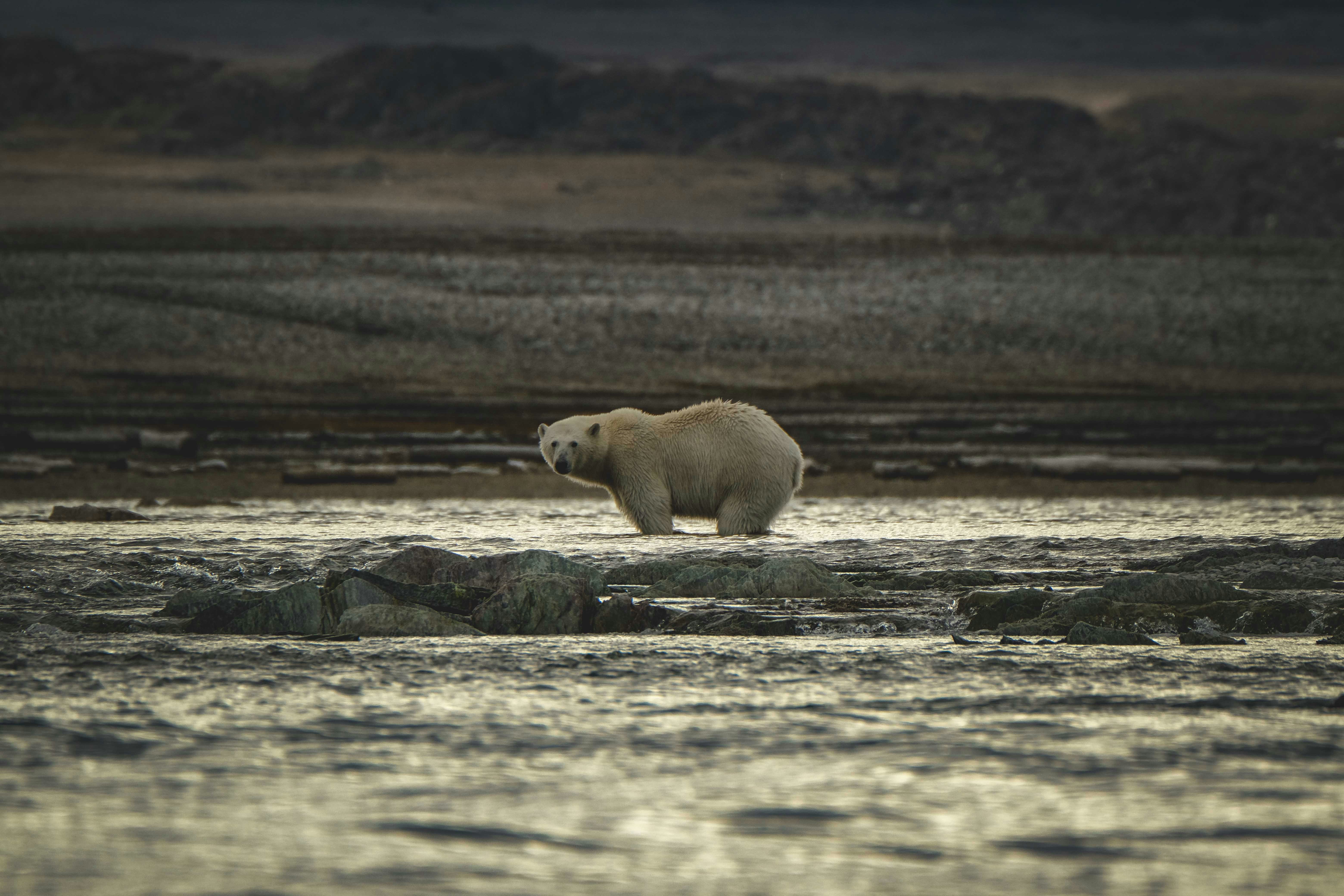 Photo by francesco_ungaro