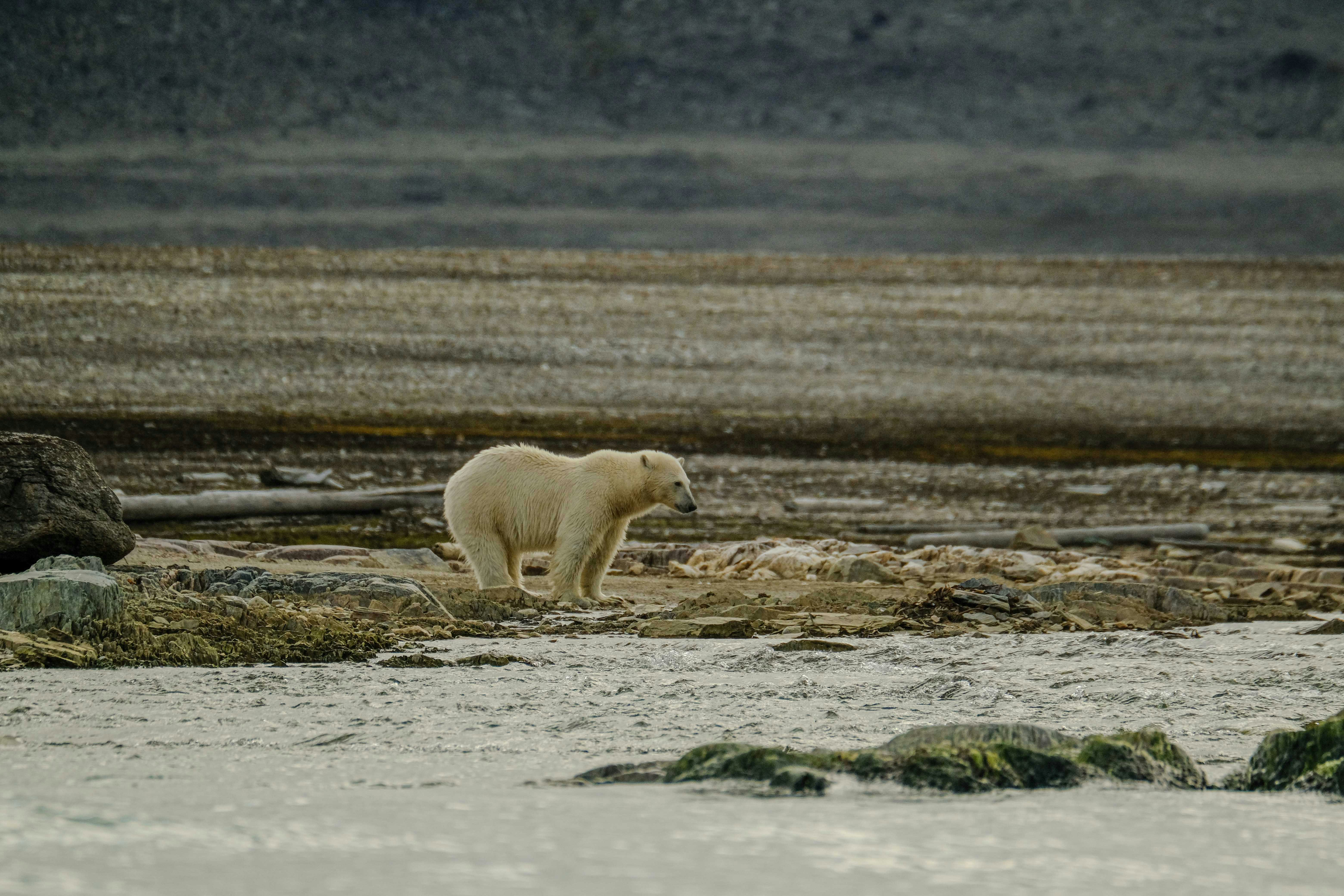 Photo by francesco_ungaro