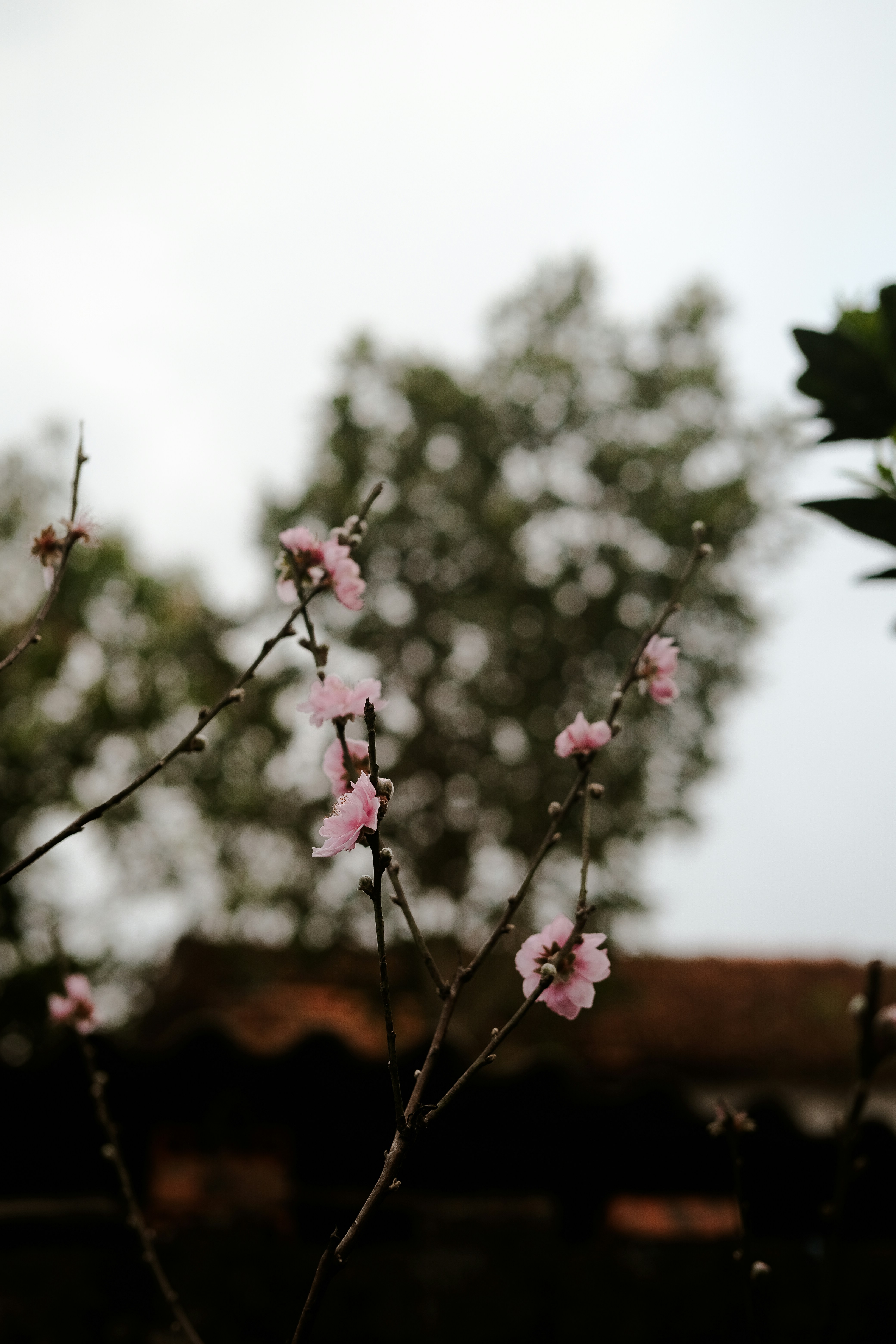 Photo by nganduong93