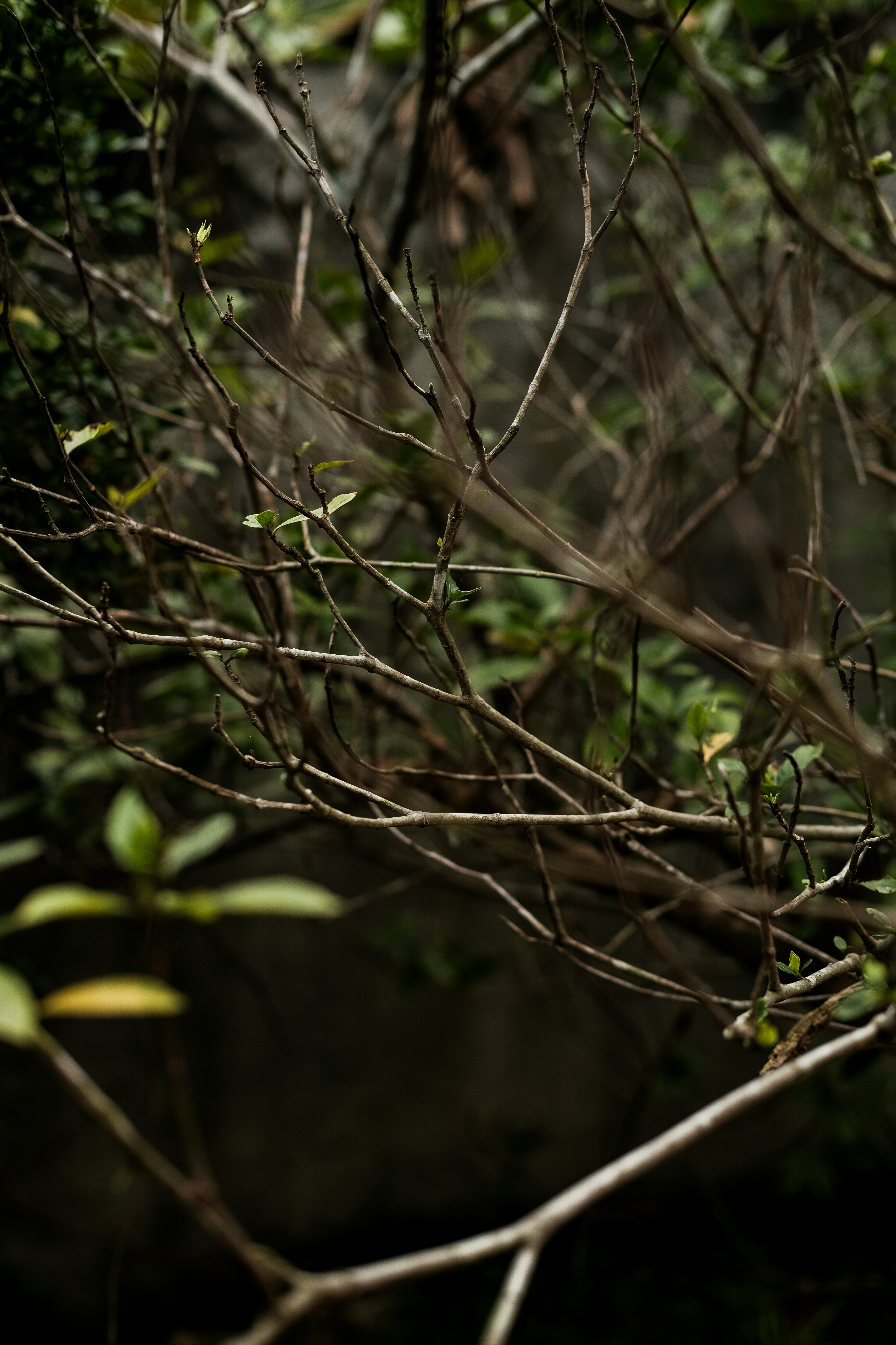 Photo by nganduong93