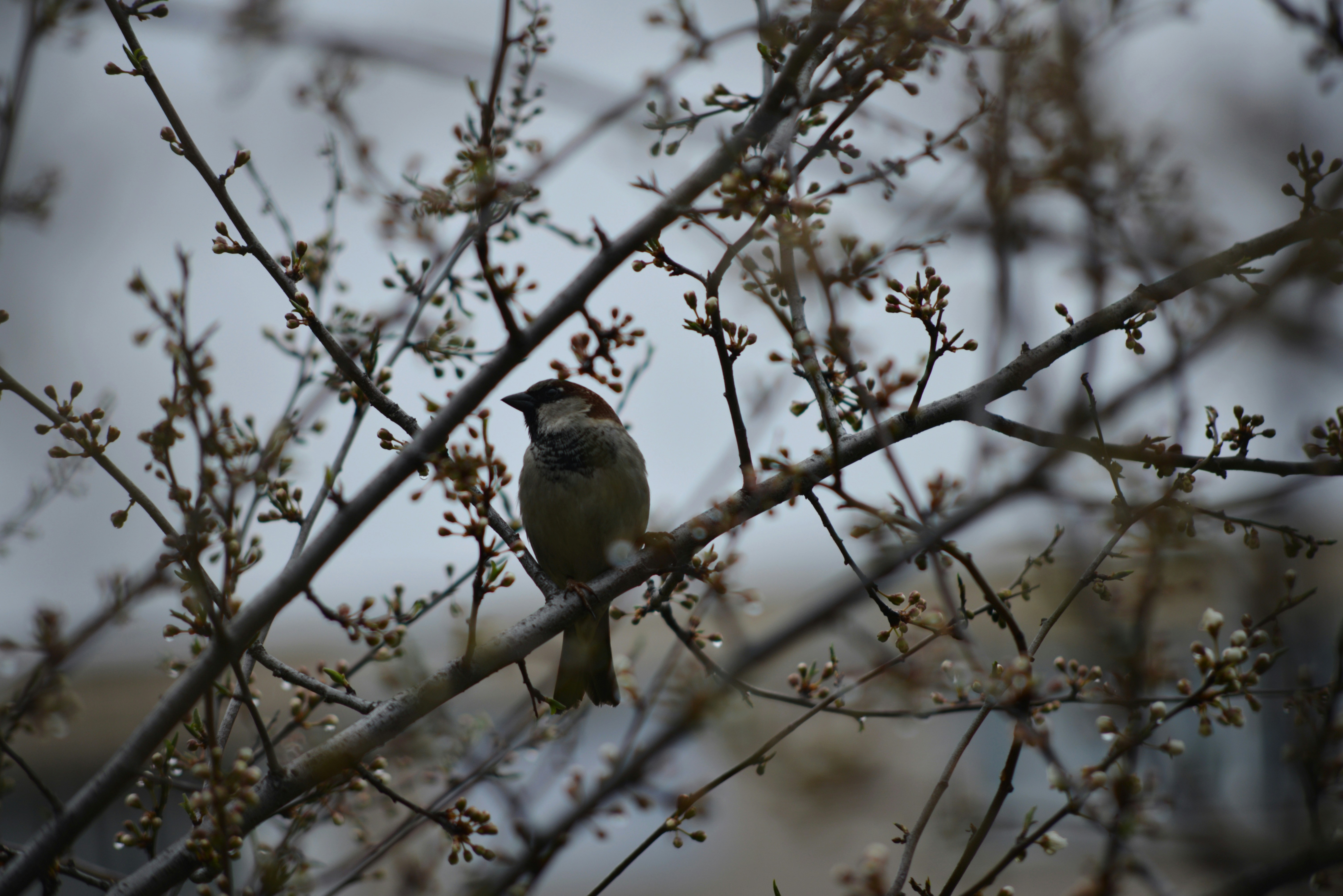 Photo by cherstve_pechivo