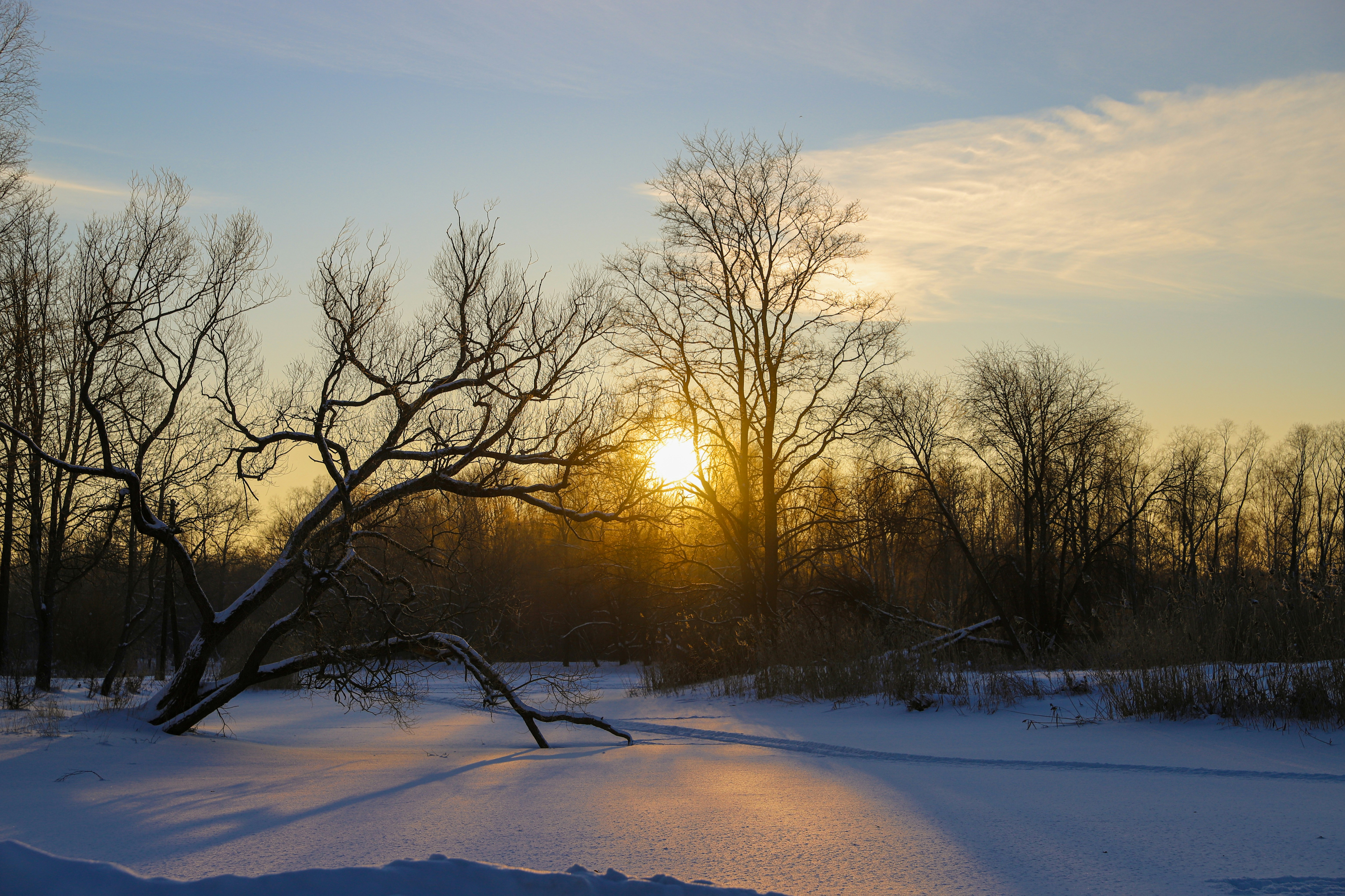 The Winter Solstice Mystery (image credits: unsplash)