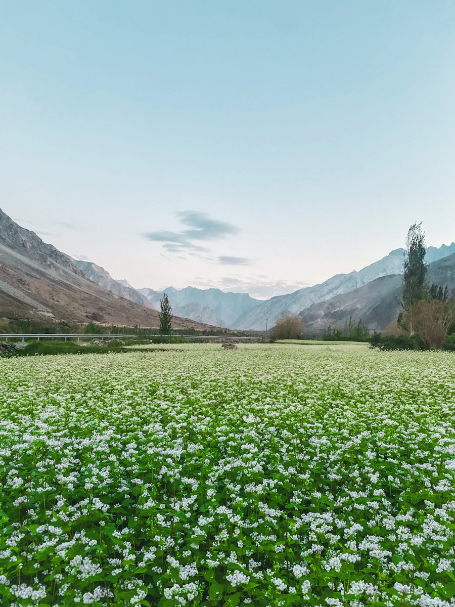 Khardung La · Ladakh — 18,380 ft