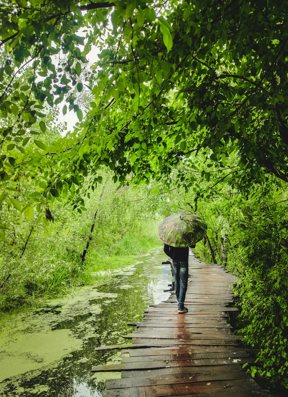 a person with an umbrella walking on a wooden bridge