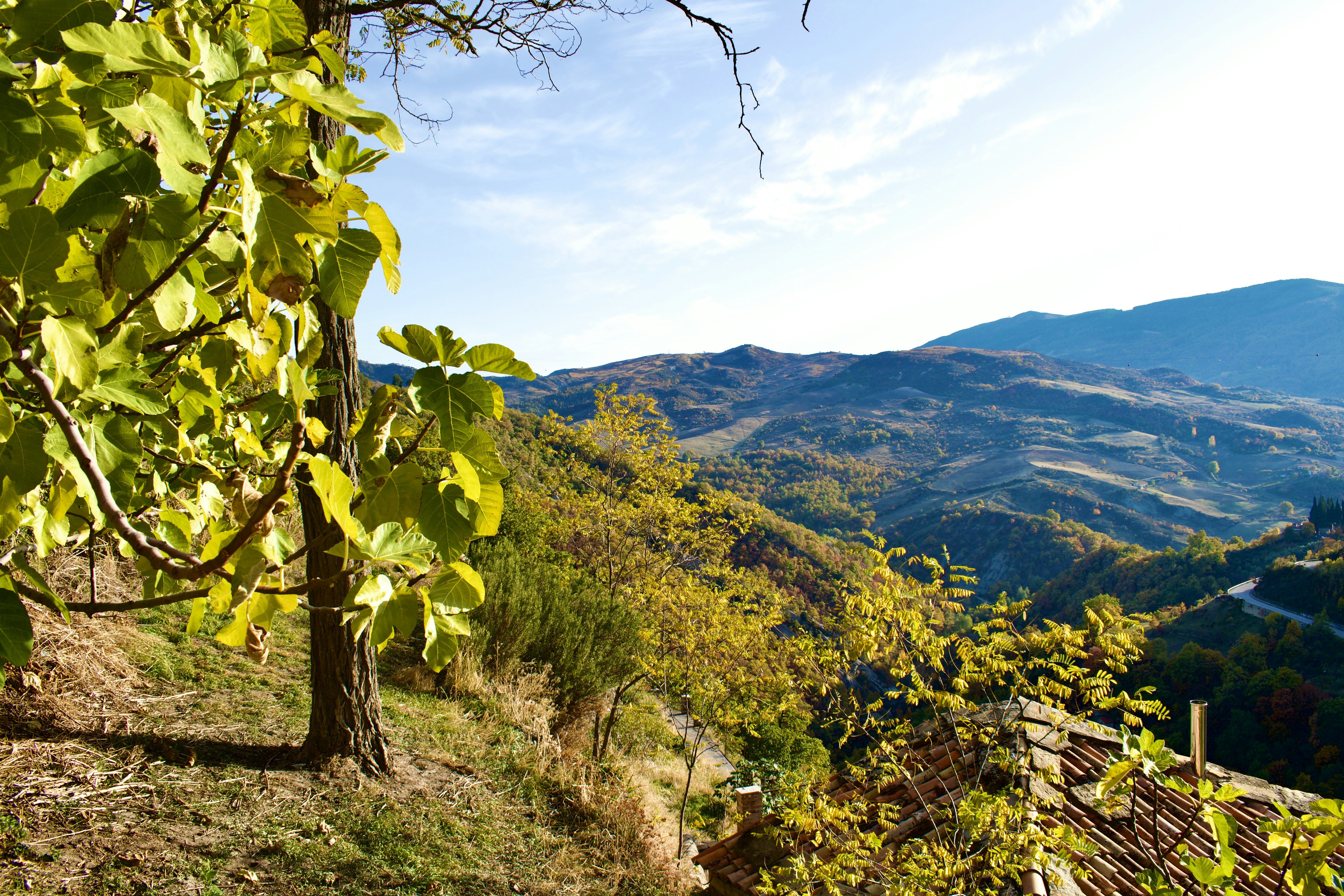 Alba e il Tartufo Bianco d'ottobre: la Fiera e le Langhe