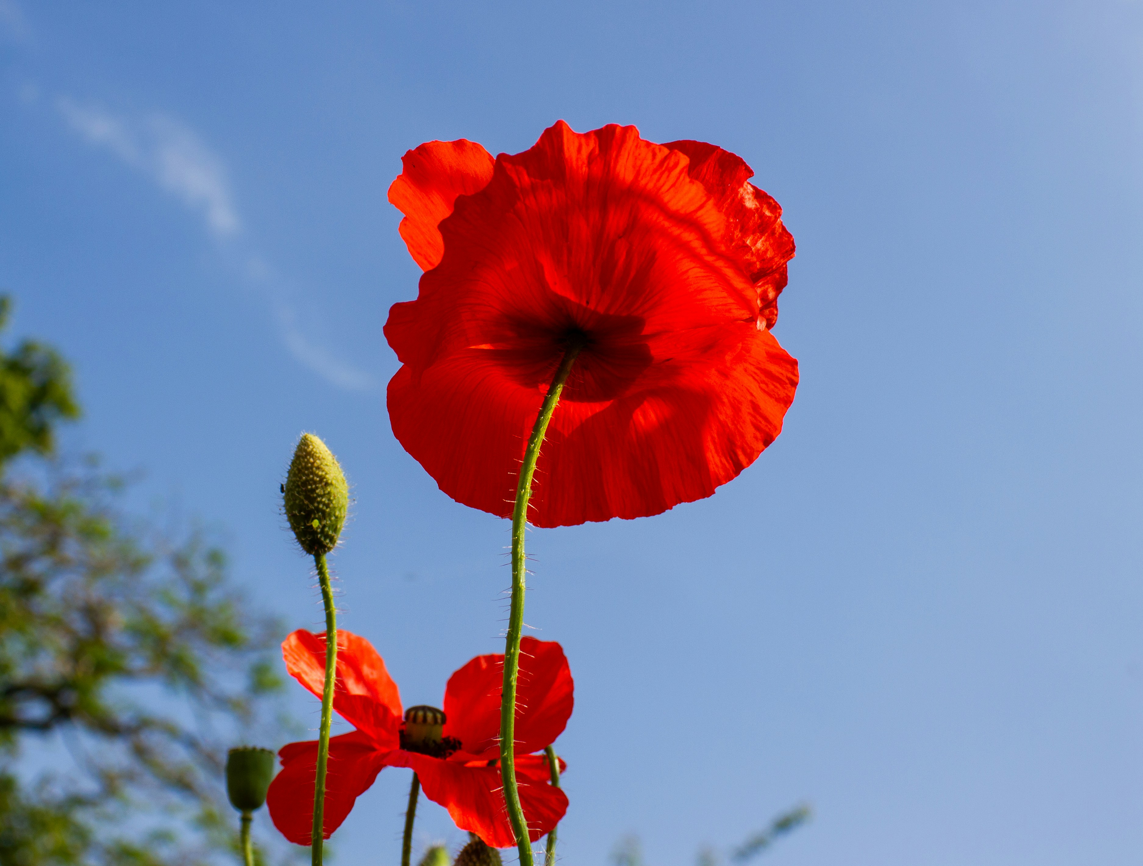 Photo by scottsalchemy