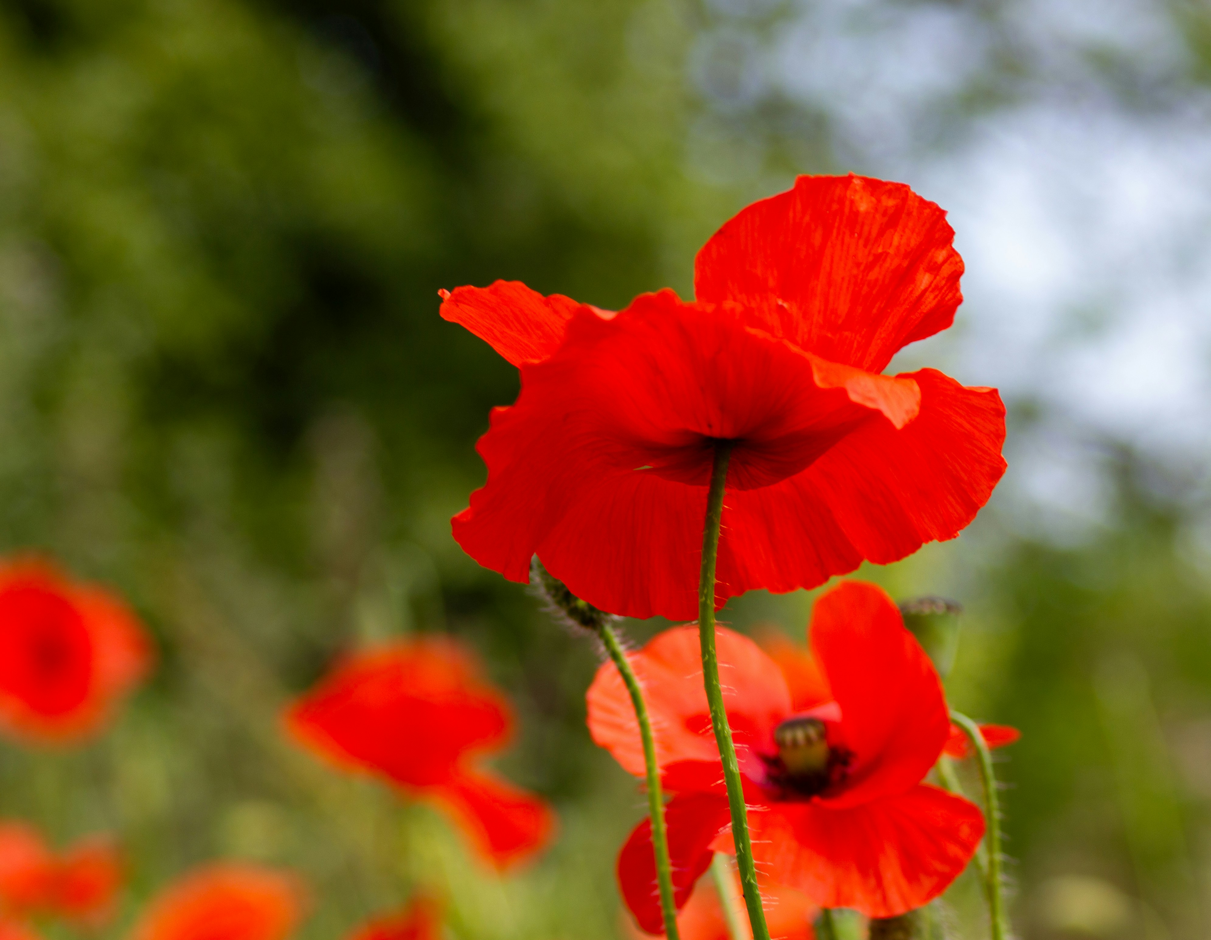 Photo by scottsalchemy