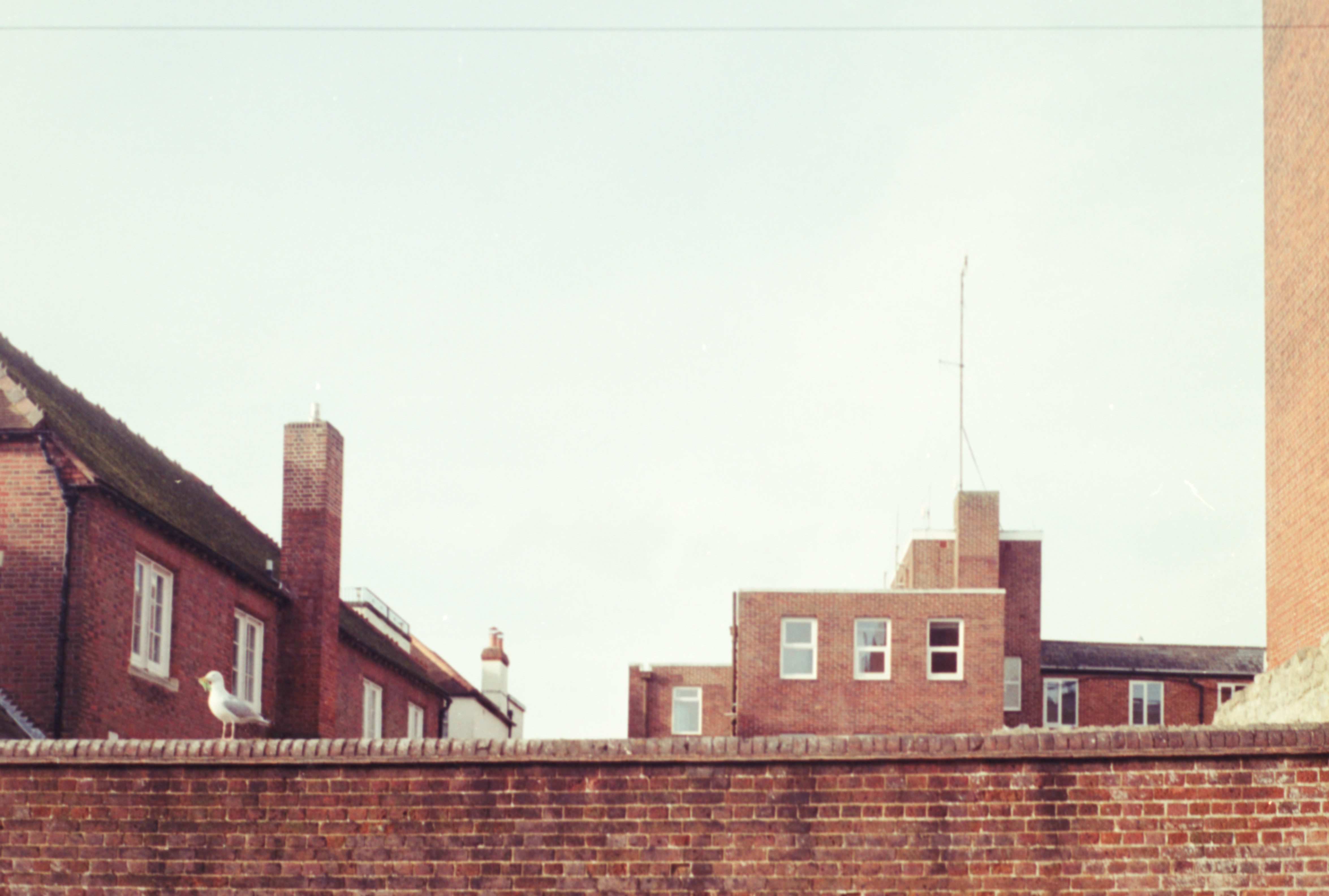 Photo by anniespratt